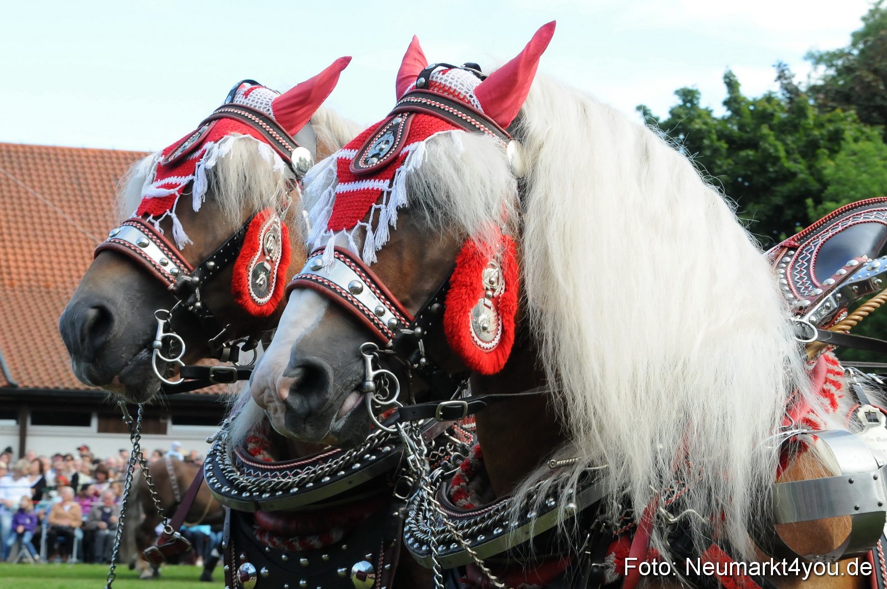 Pferdeschau Volksfest Neumarkt 160810 0036