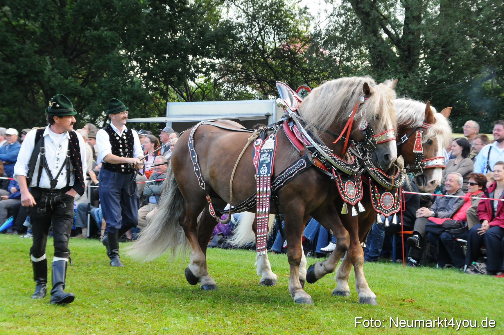 Pferdeschau Volksfest Neumarkt 160810 0037
