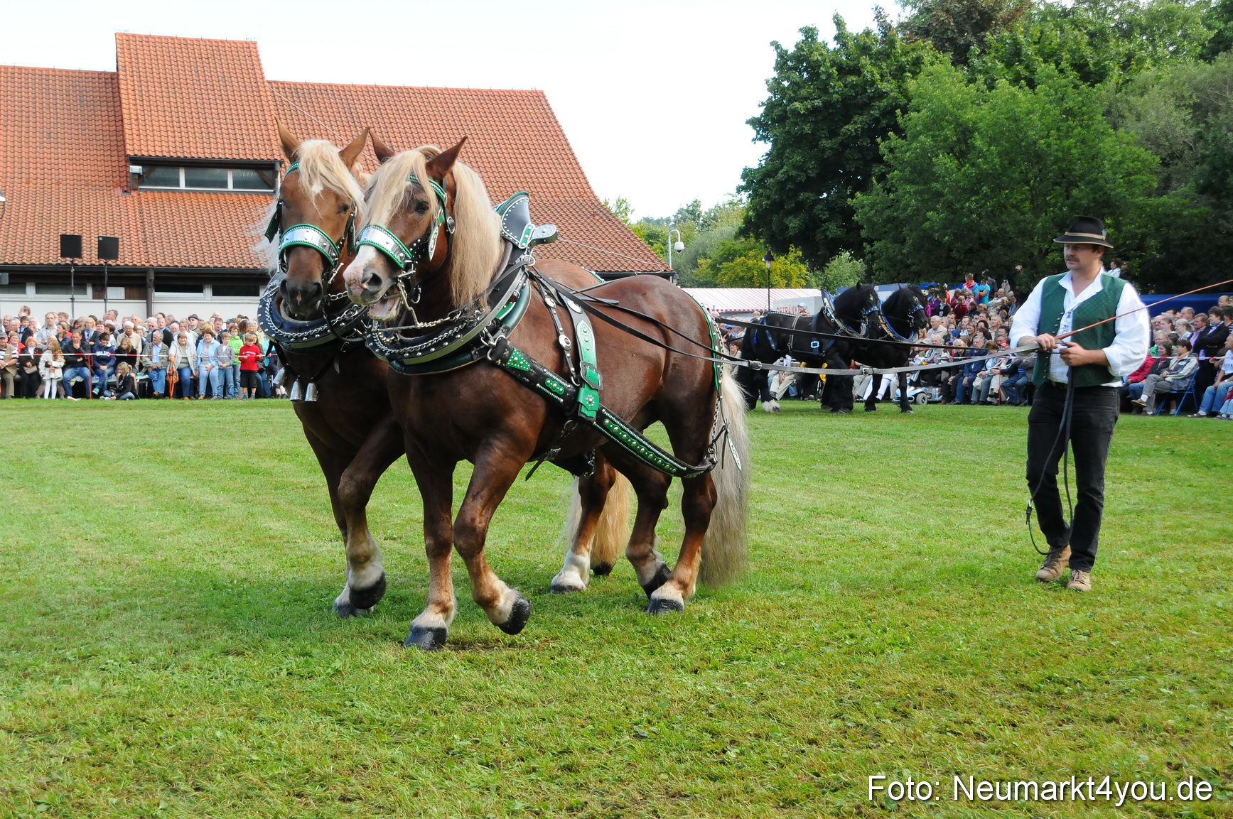 Pferdeschau Volksfest Neumarkt 160810 0038