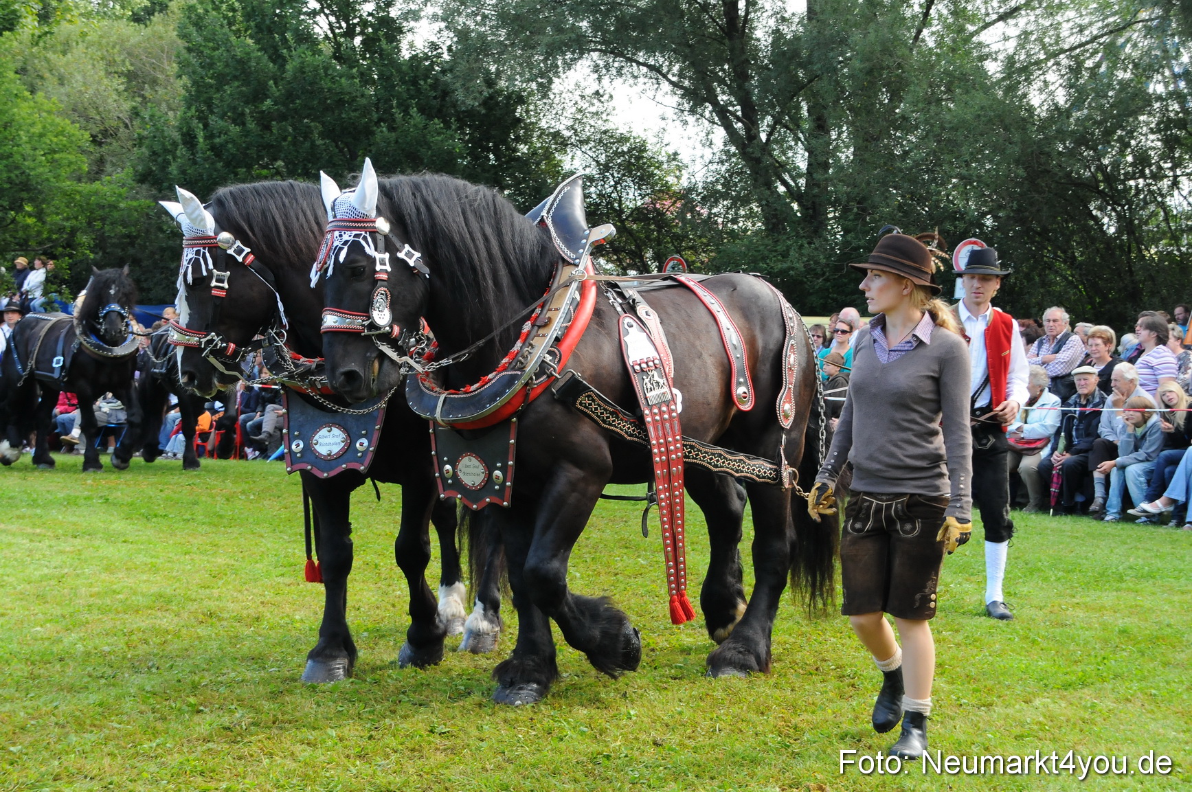 Pferdeschau Volksfest Neumarkt 160810 0039