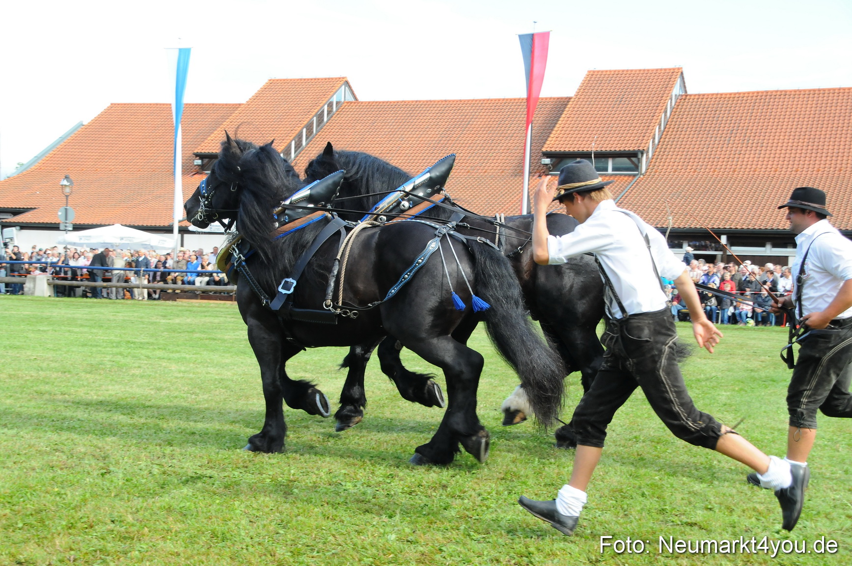 Pferdeschau Volksfest Neumarkt 160810 0043