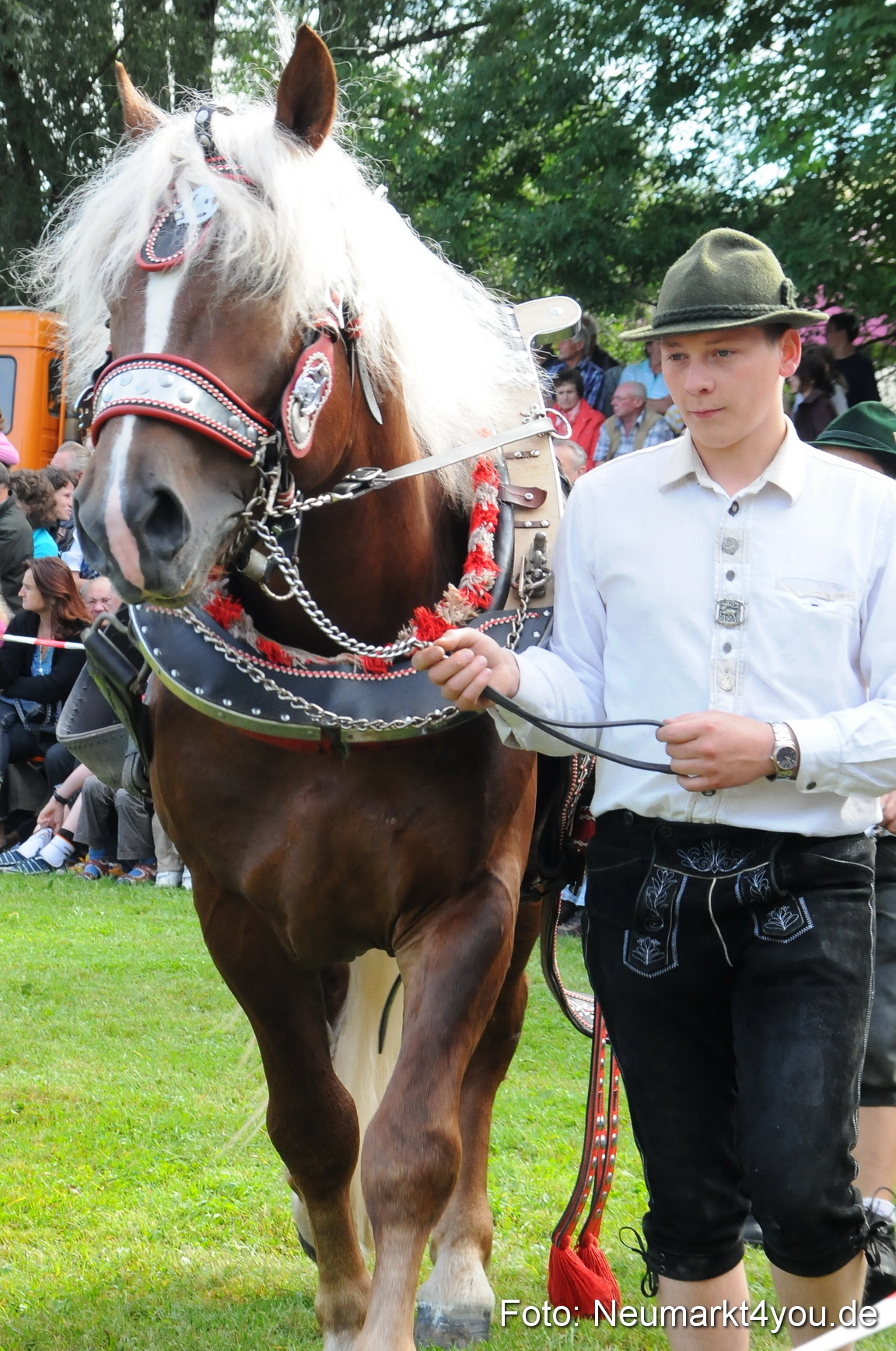 Pferdeschau Volksfest Neumarkt 160810 0049