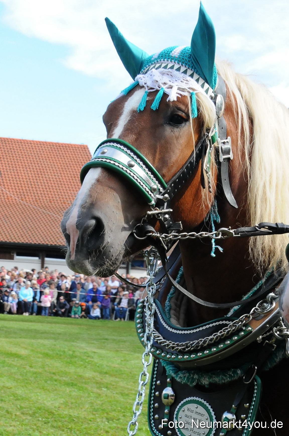 Pferdeschau Volksfest Neumarkt 160810 0050