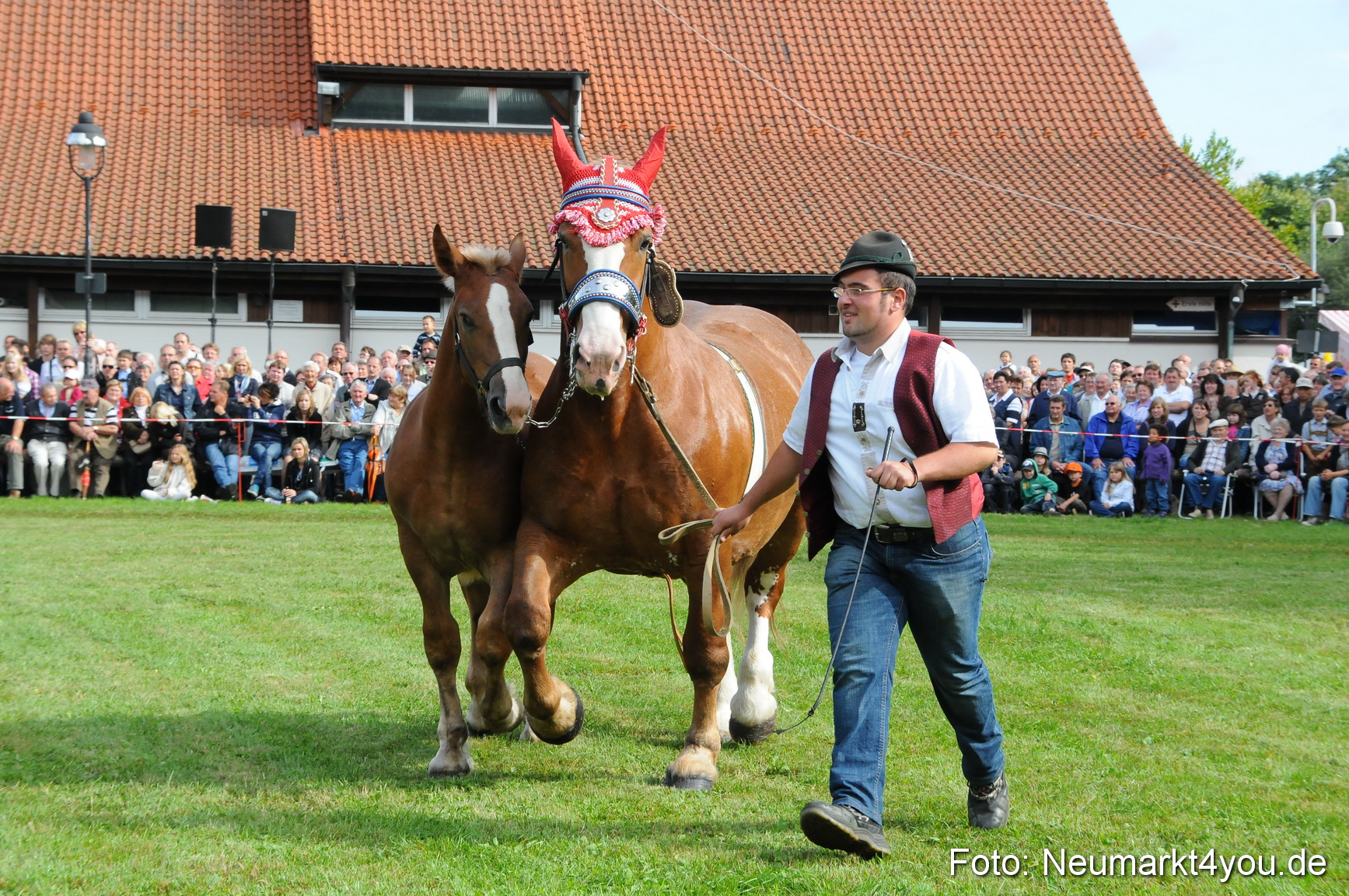 Pferdeschau Volksfest Neumarkt 160810 0053