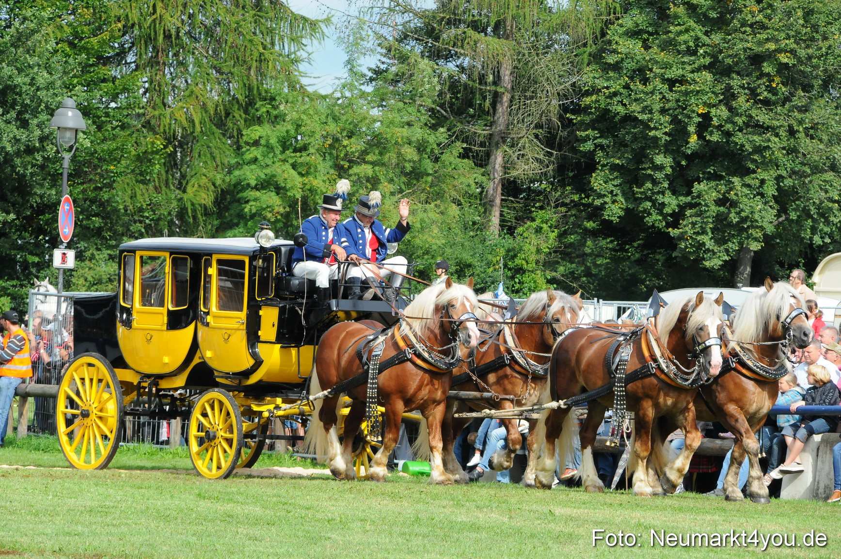 Pferdeschau Volksfest Neumarkt 160810 0054