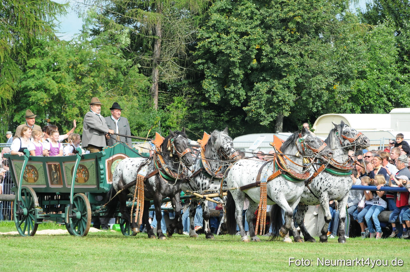 Pferdeschau Volksfest Neumarkt 160810 0055