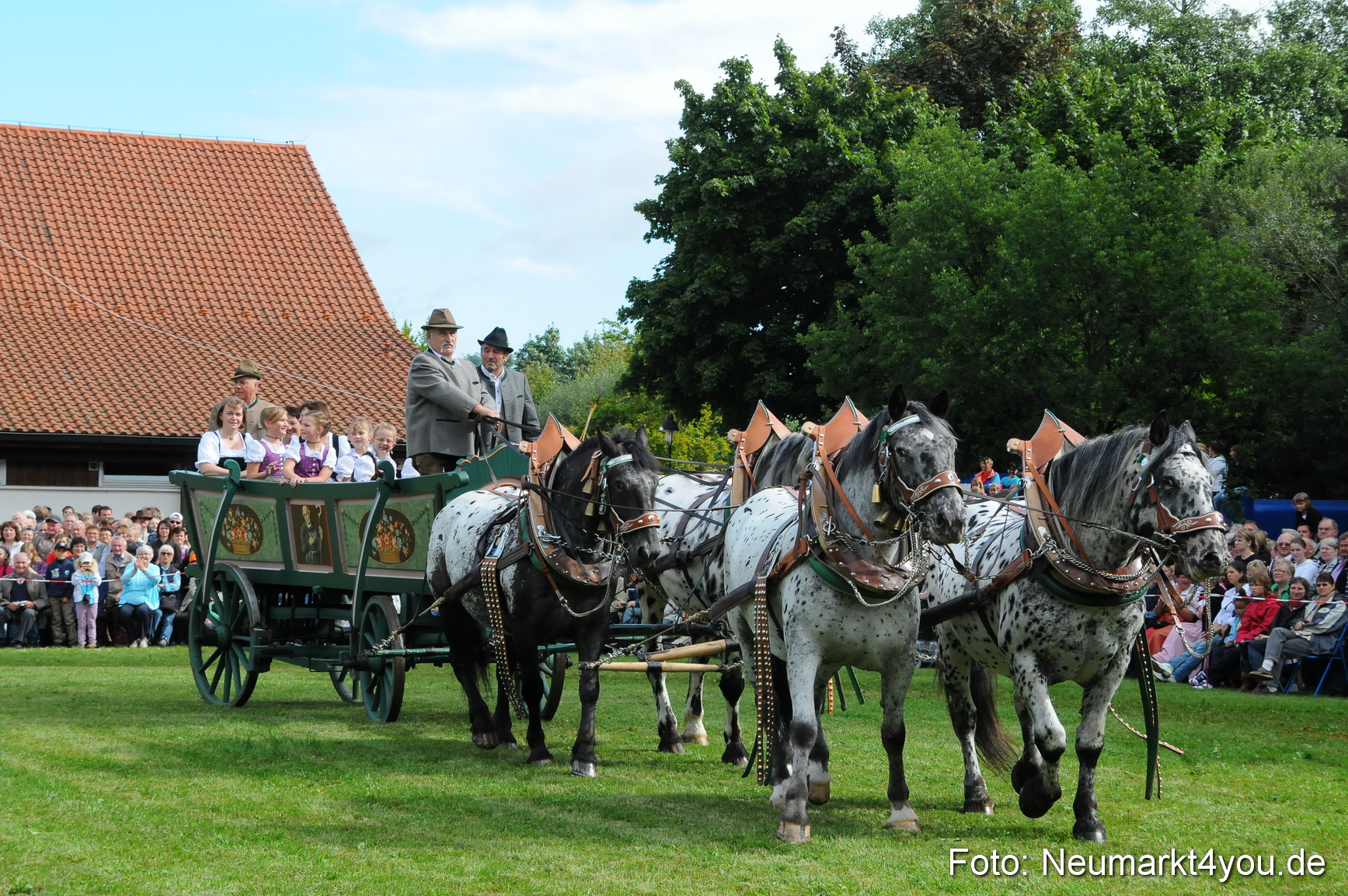 Pferdeschau Volksfest Neumarkt 160810 0057