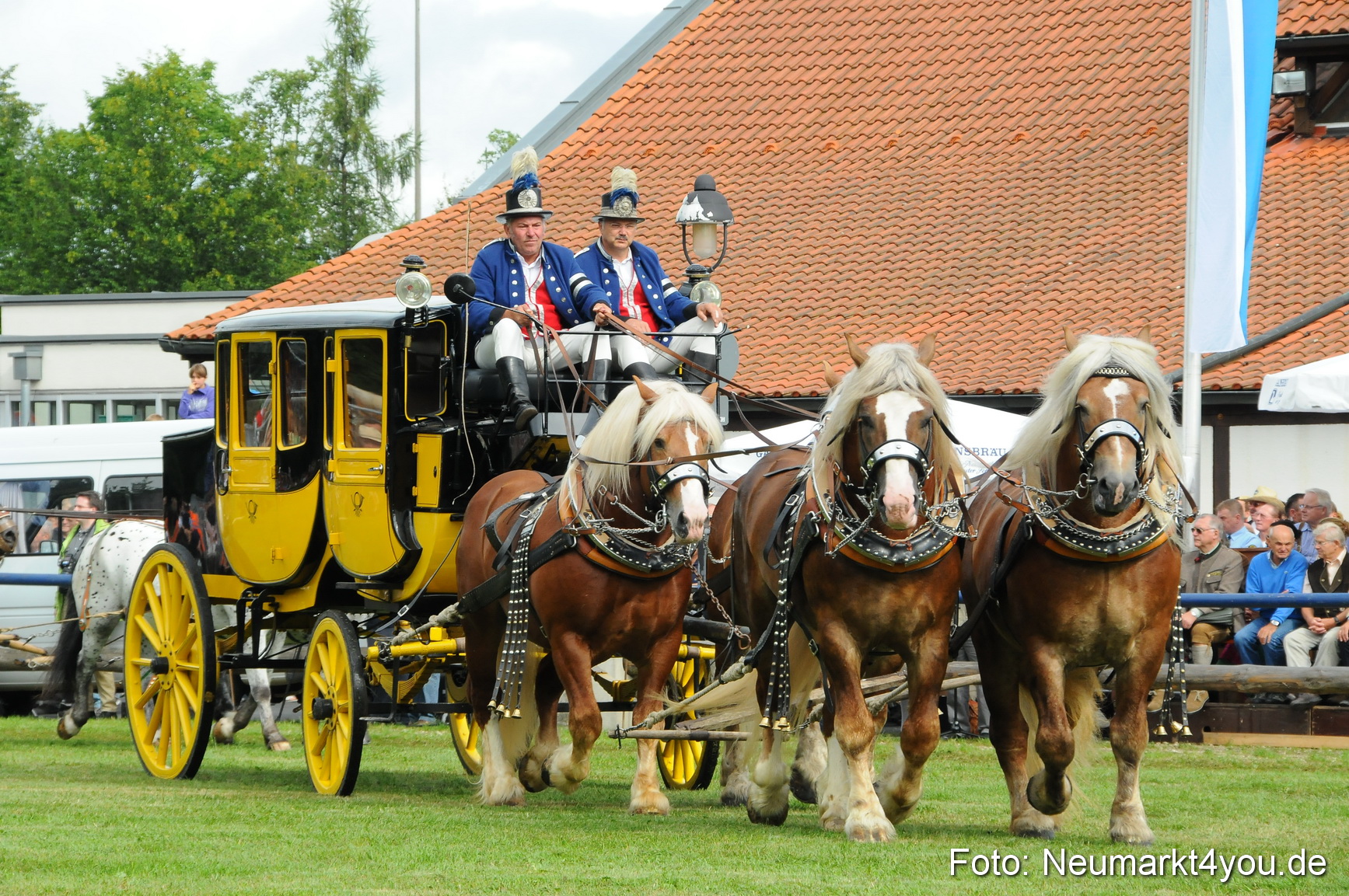 Pferdeschau Volksfest Neumarkt 160810 0061