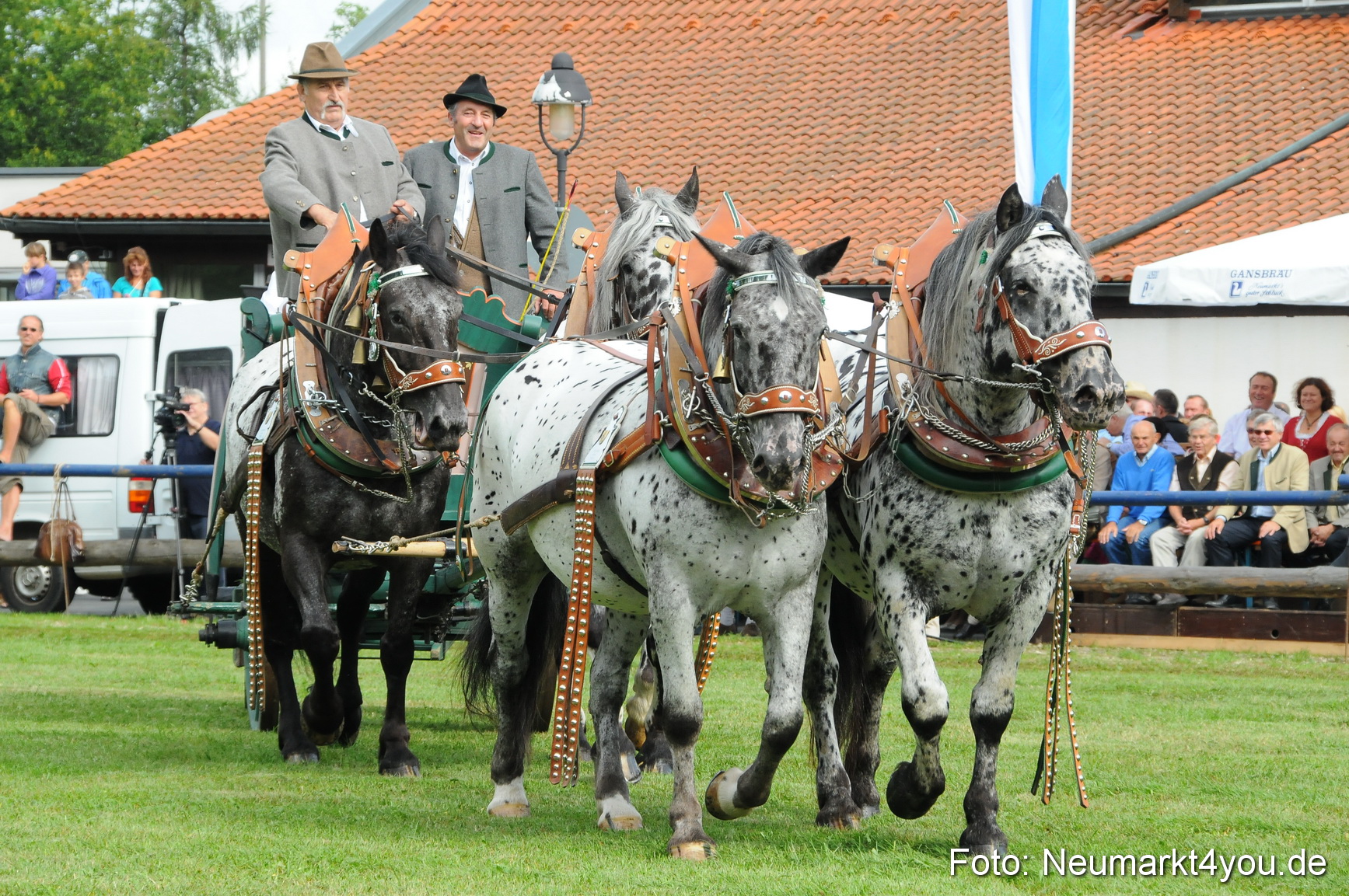 Pferdeschau Volksfest Neumarkt 160810 0062