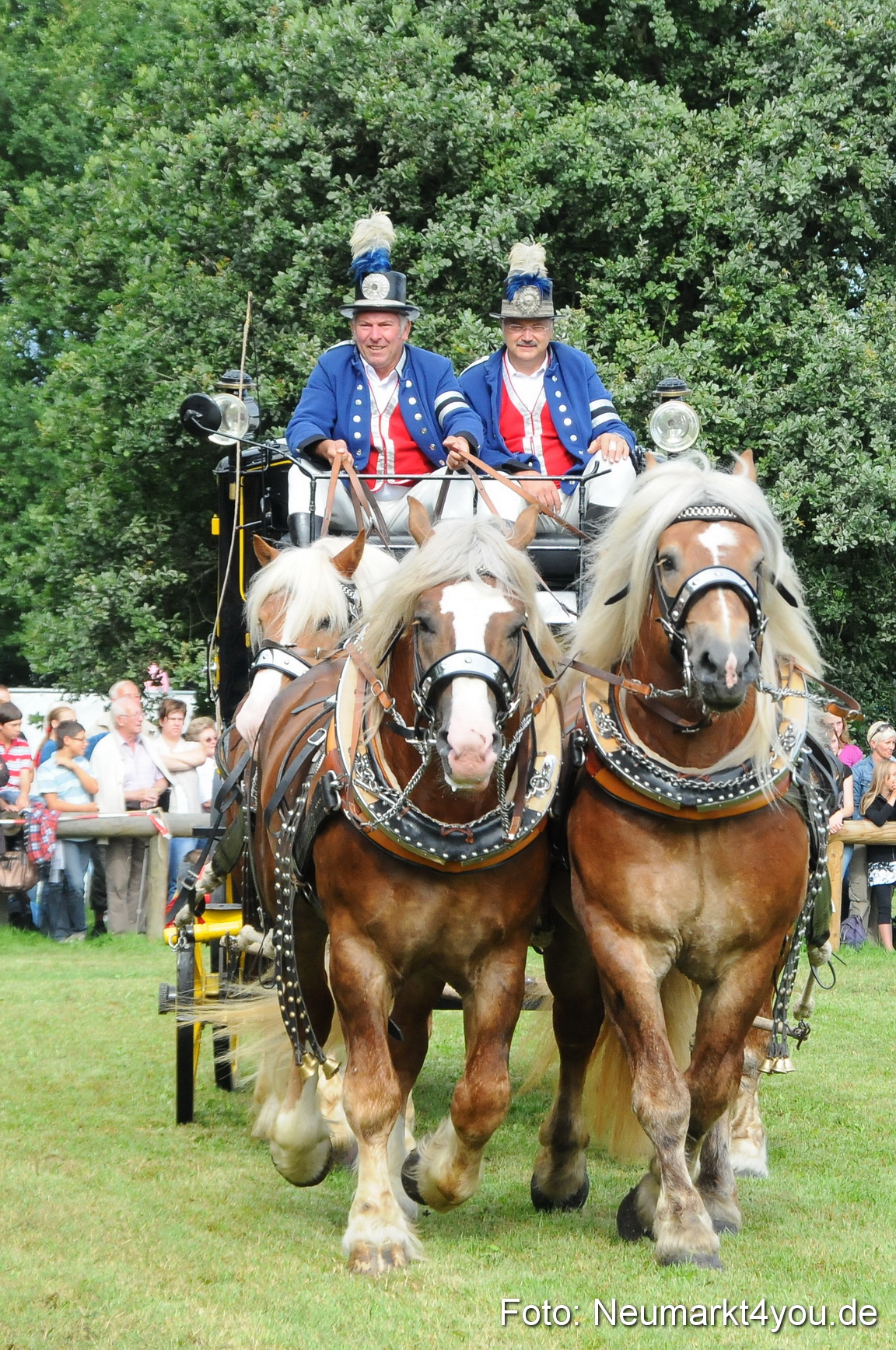 Pferdeschau Volksfest Neumarkt 160810 0064