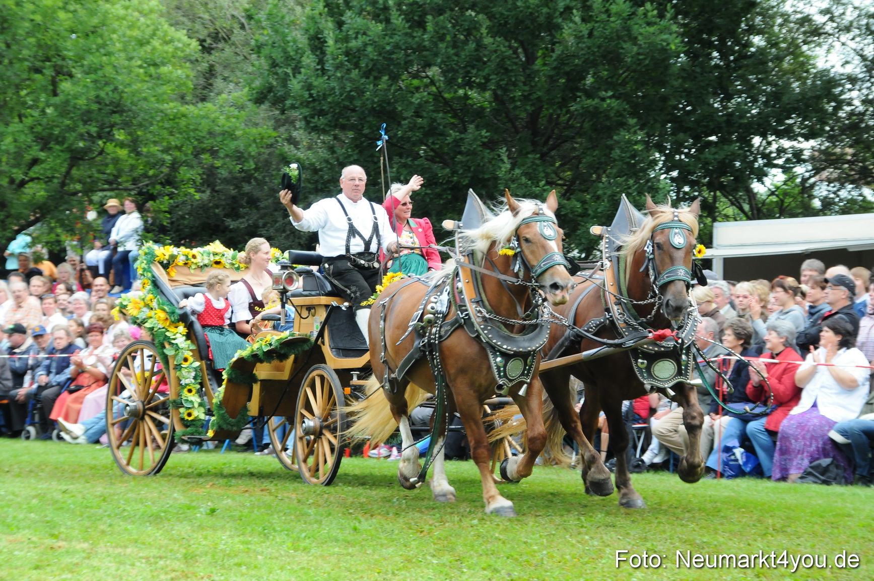 Pferdeschau Volksfest Neumarkt 160810 0067