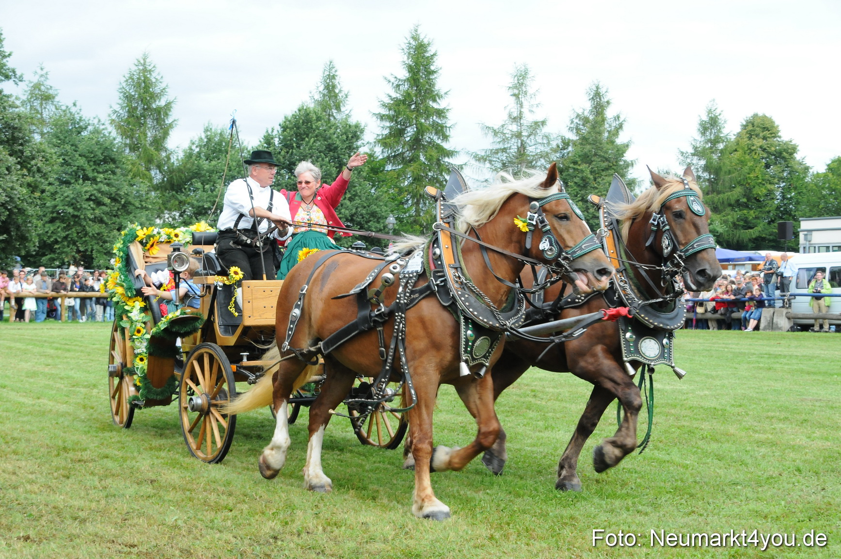 Pferdeschau Volksfest Neumarkt 160810 0069