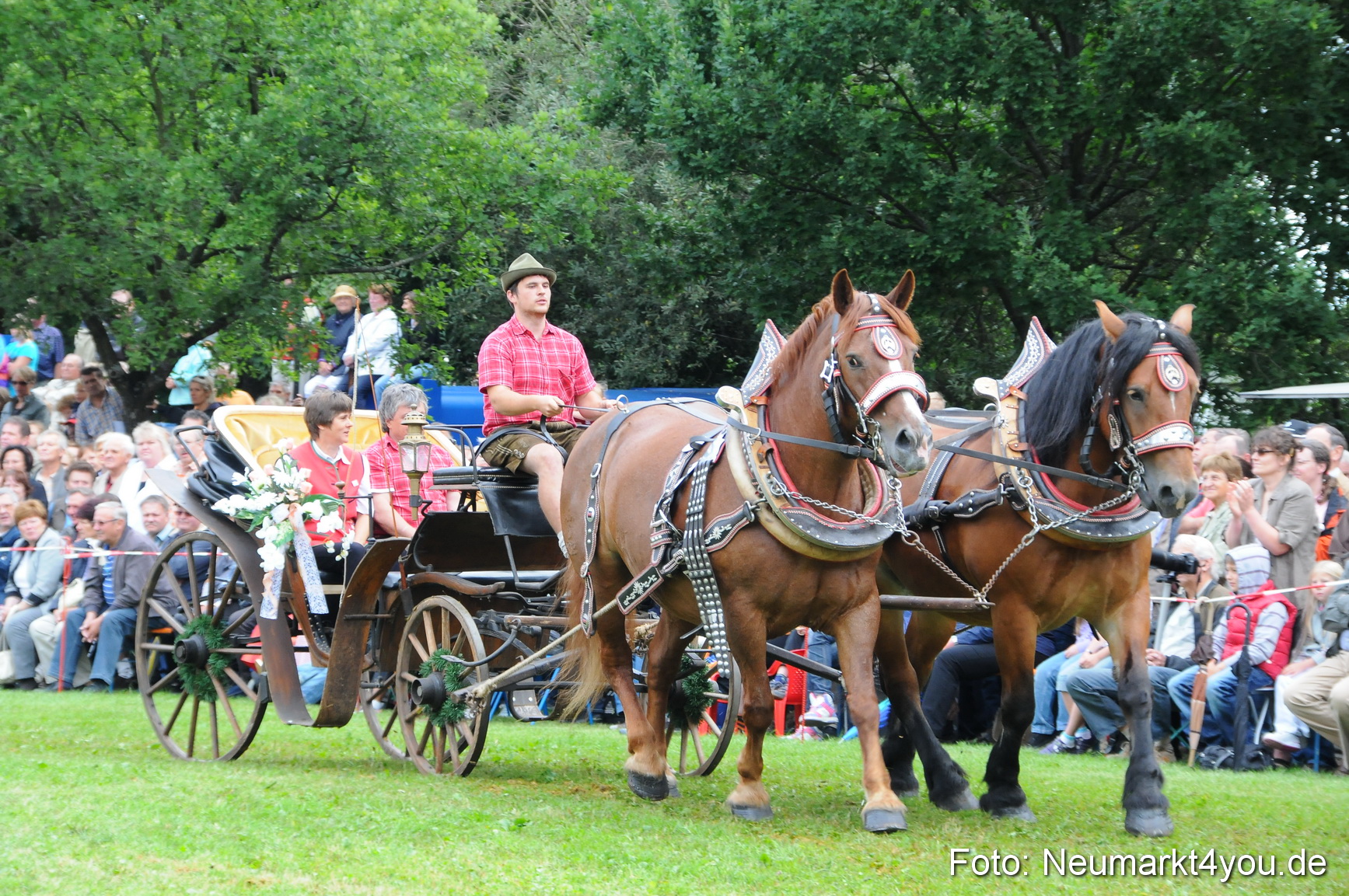Pferdeschau Volksfest Neumarkt 160810 0070