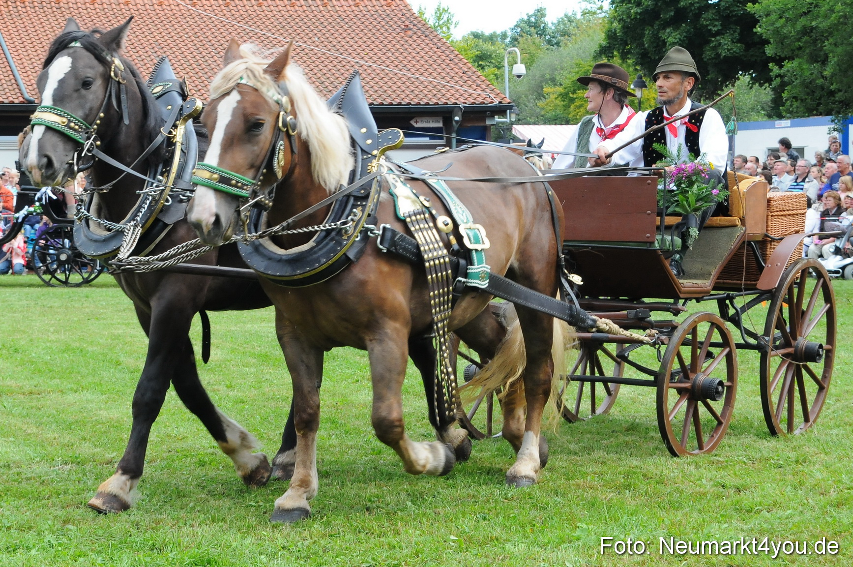 Pferdeschau Volksfest Neumarkt 160810 0072