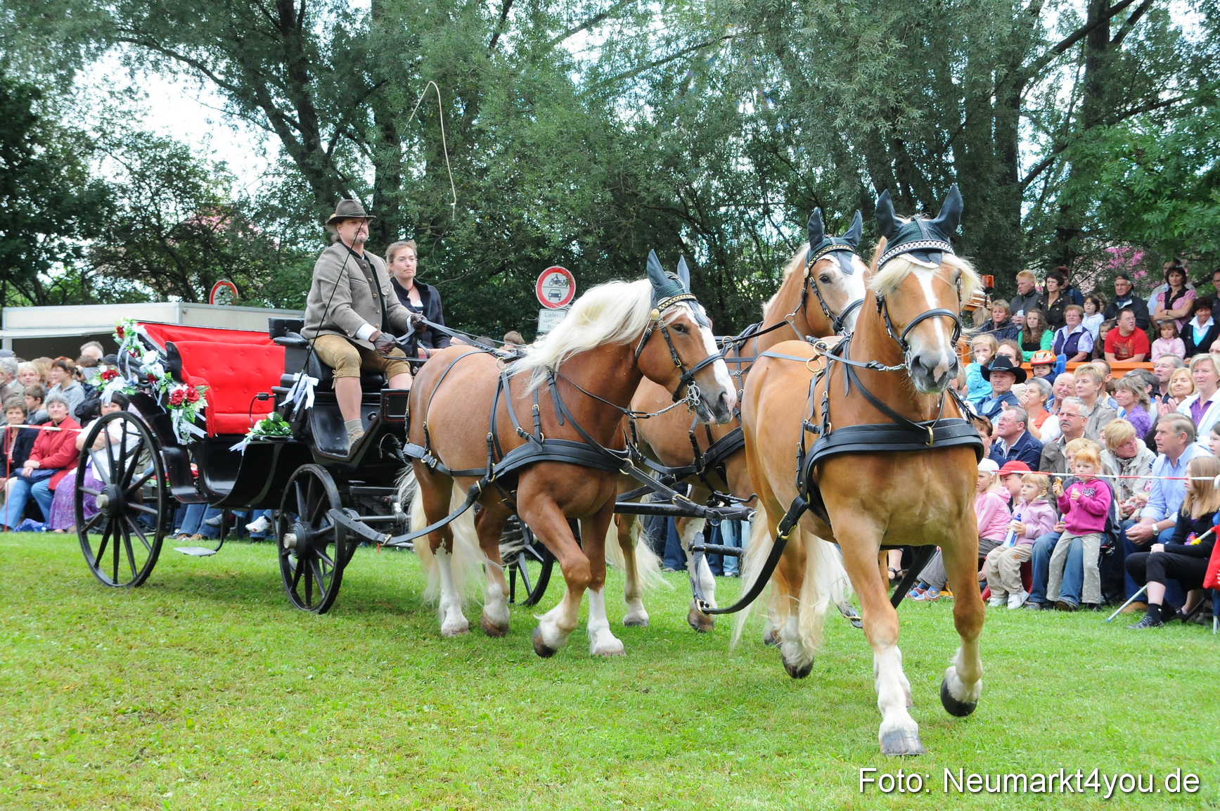 Pferdeschau Volksfest Neumarkt 160810 0073