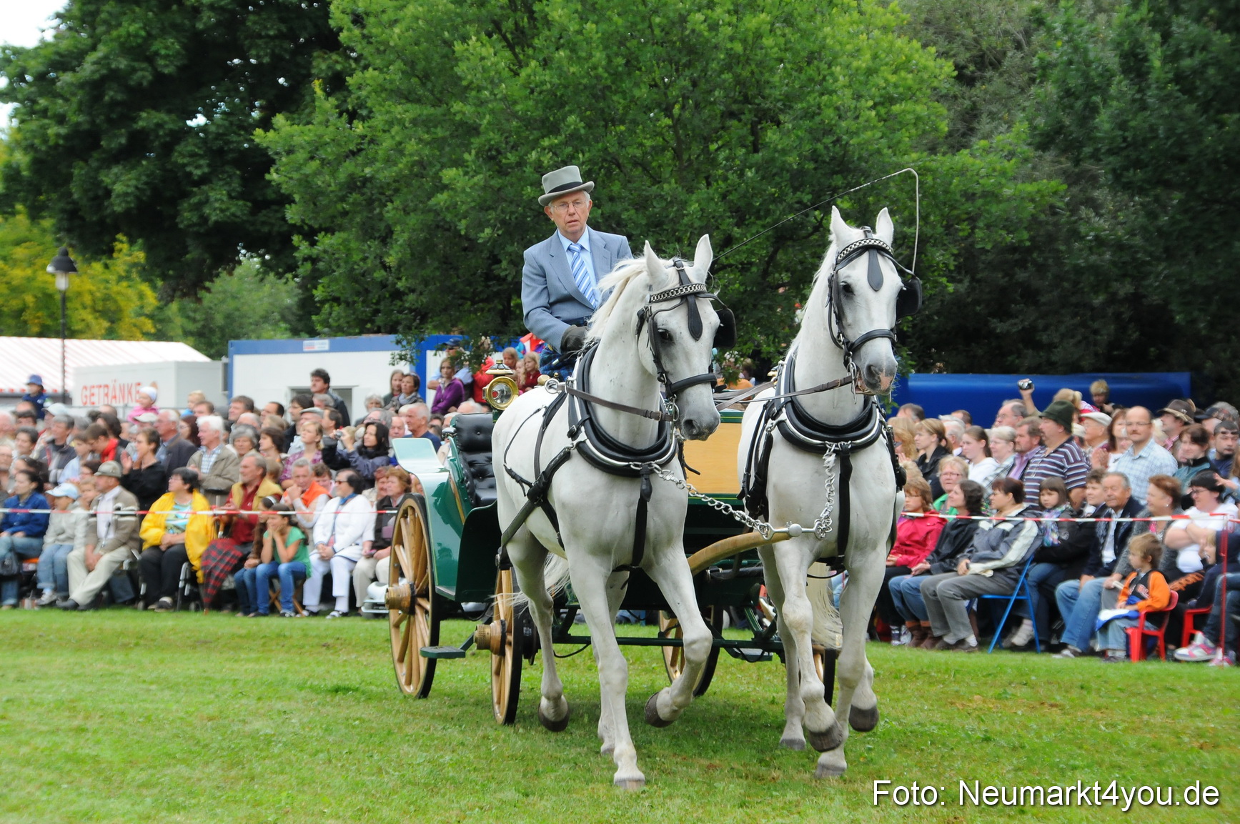 Pferdeschau Volksfest Neumarkt 160810 0079