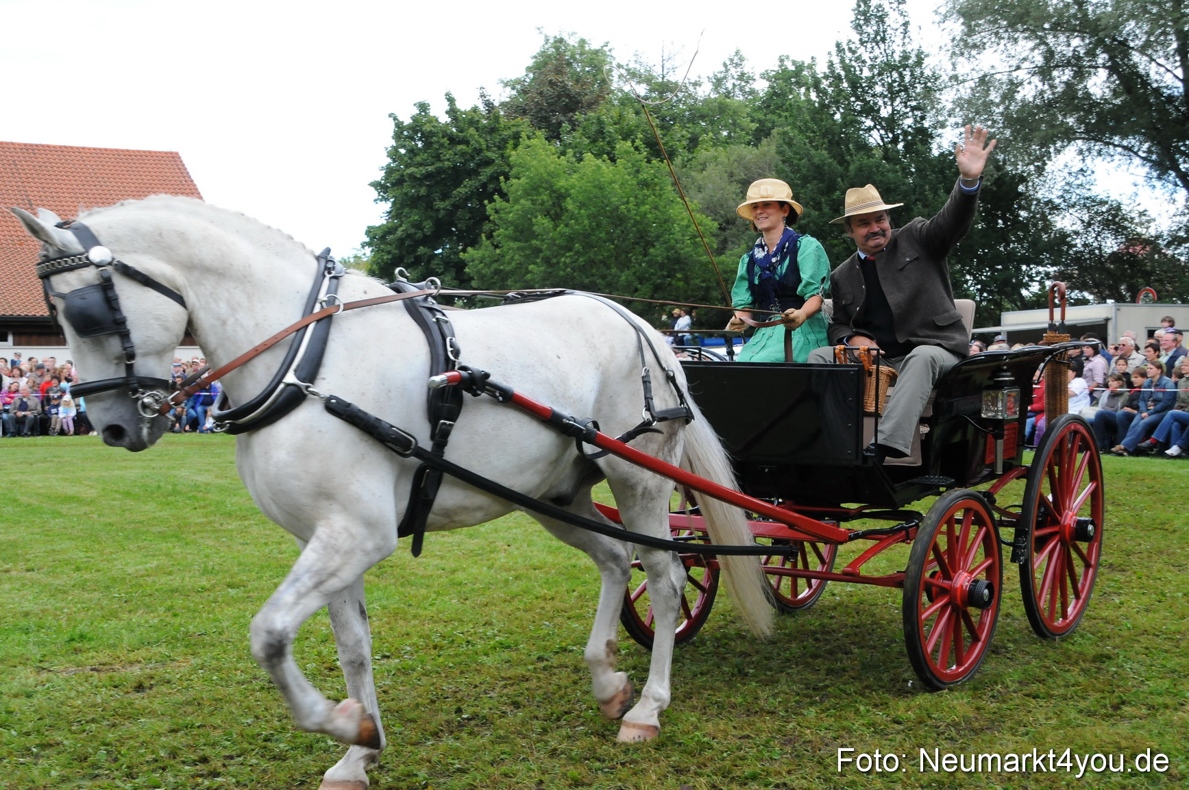 Pferdeschau Volksfest Neumarkt 160810 0082