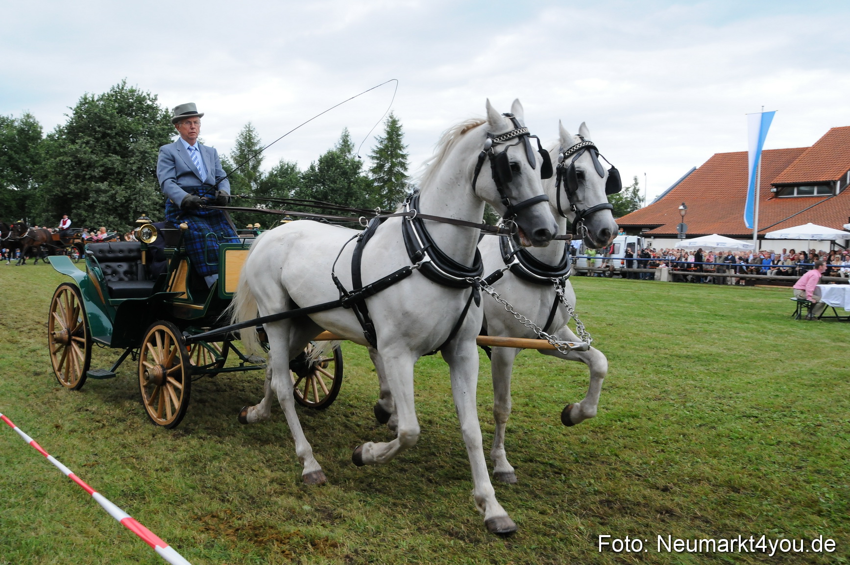 Pferdeschau Volksfest Neumarkt 160810 0083