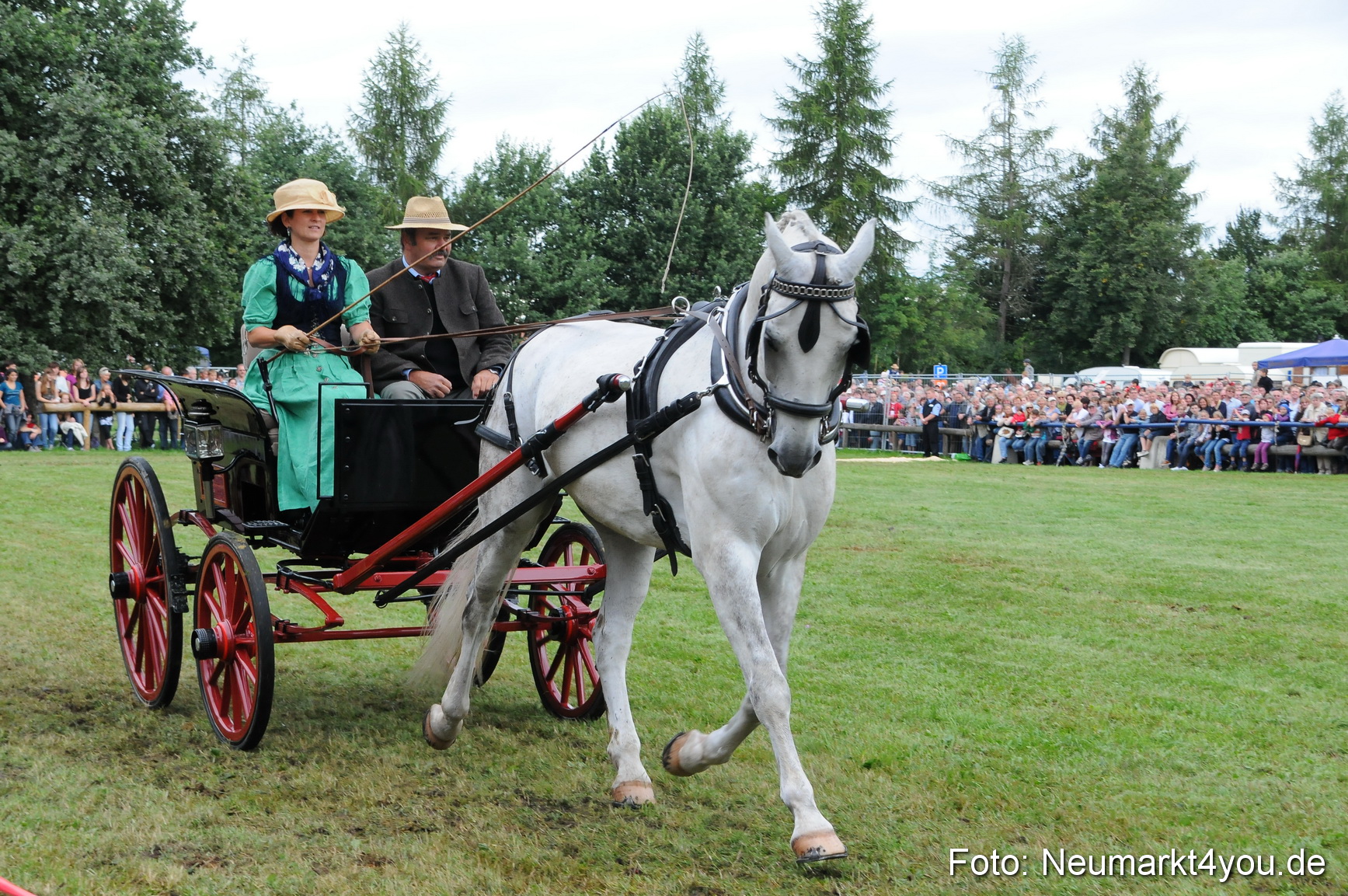 Pferdeschau Volksfest Neumarkt 160810 0084