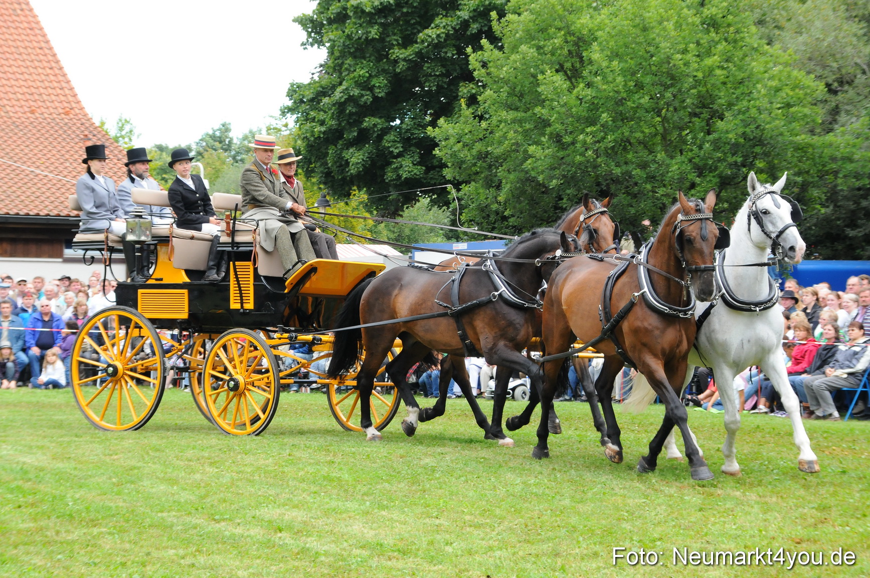 Pferdeschau Volksfest Neumarkt 160810 0089