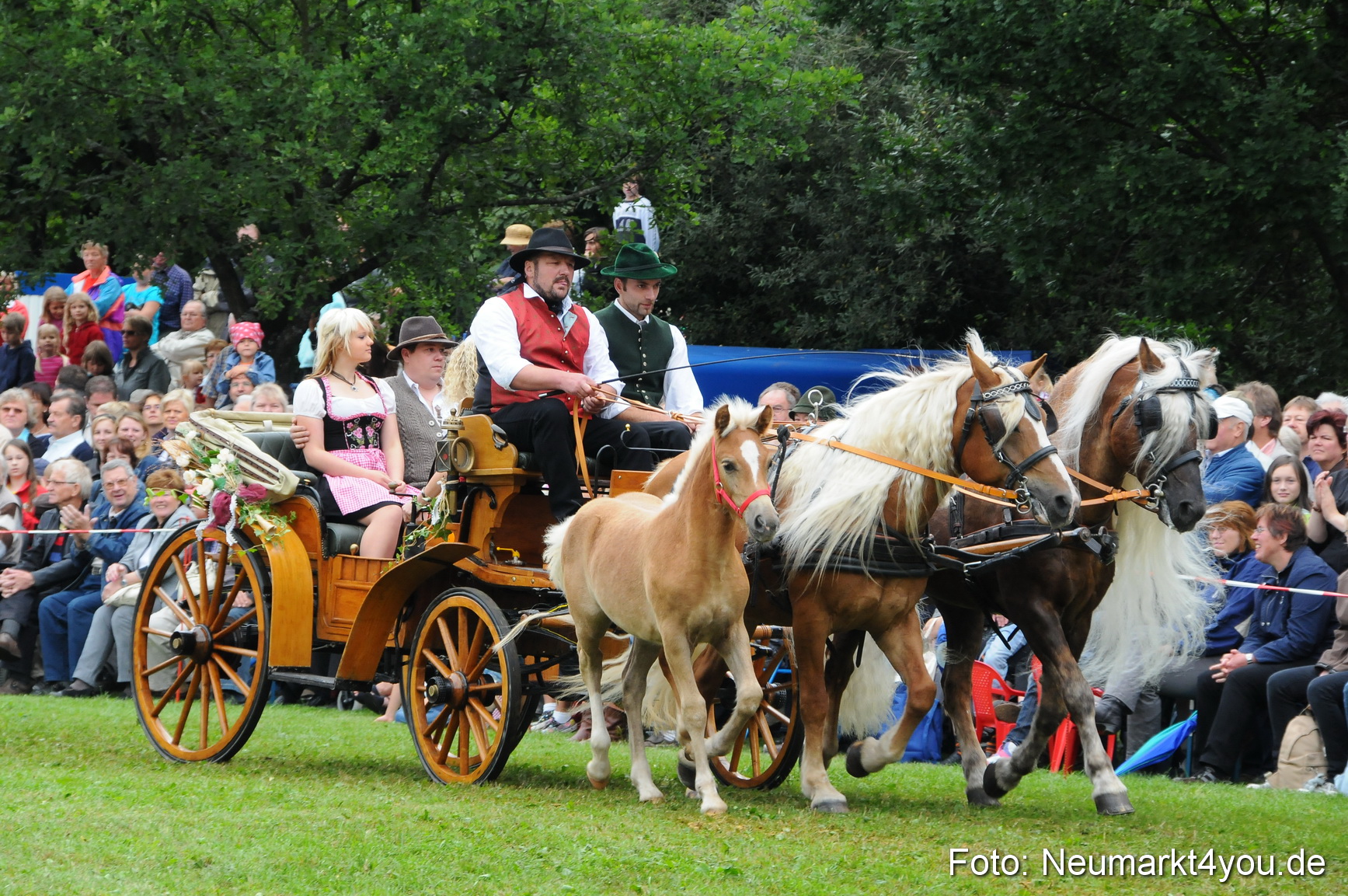 Pferdeschau Volksfest Neumarkt 160810 0091