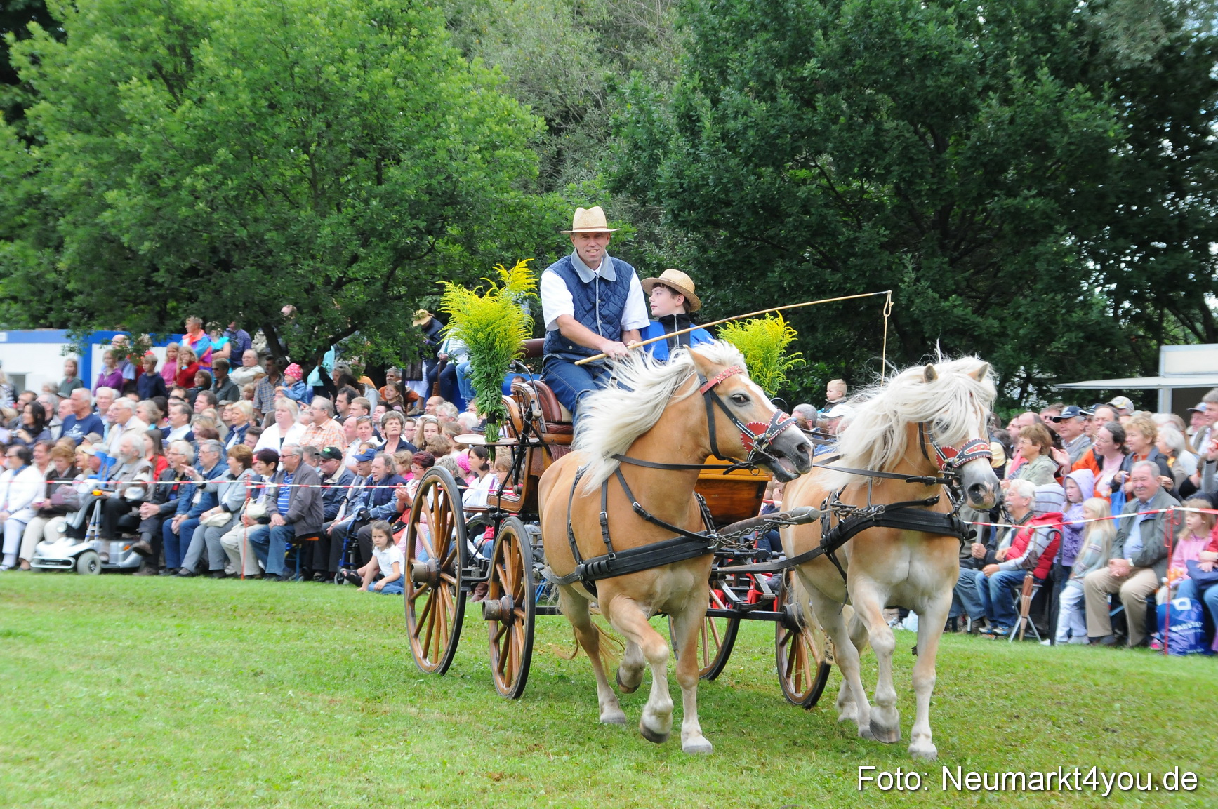 Pferdeschau Volksfest Neumarkt 160810 0092