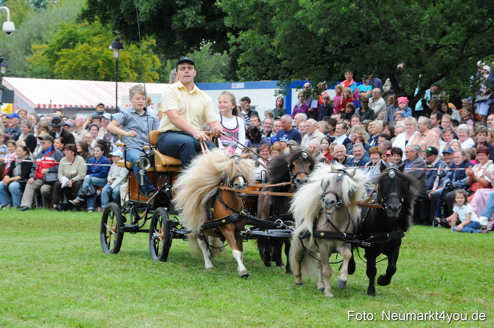 Pferdeschau Volksfest Neumarkt 160810 0093