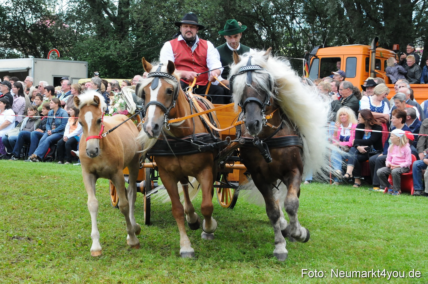 Pferdeschau Volksfest Neumarkt 160810 0095