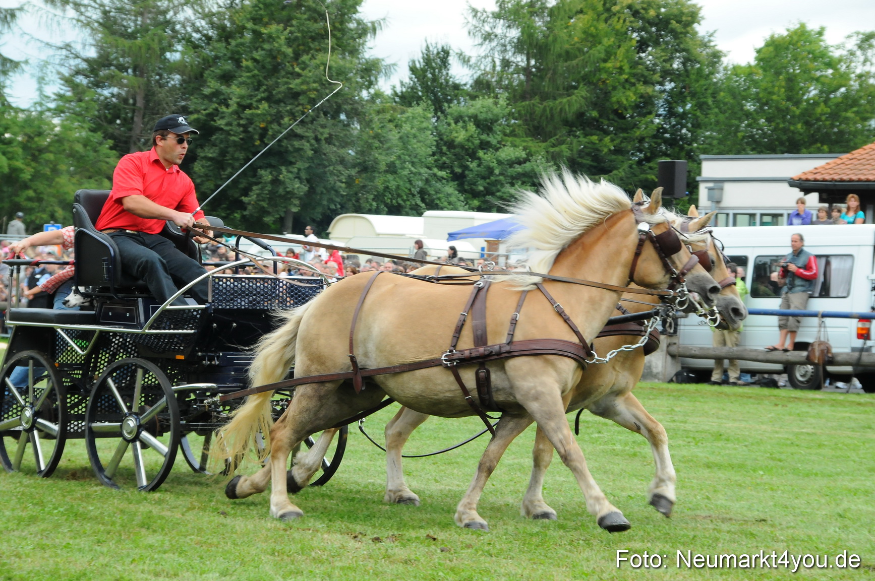 Pferdeschau Volksfest Neumarkt 160810 0096