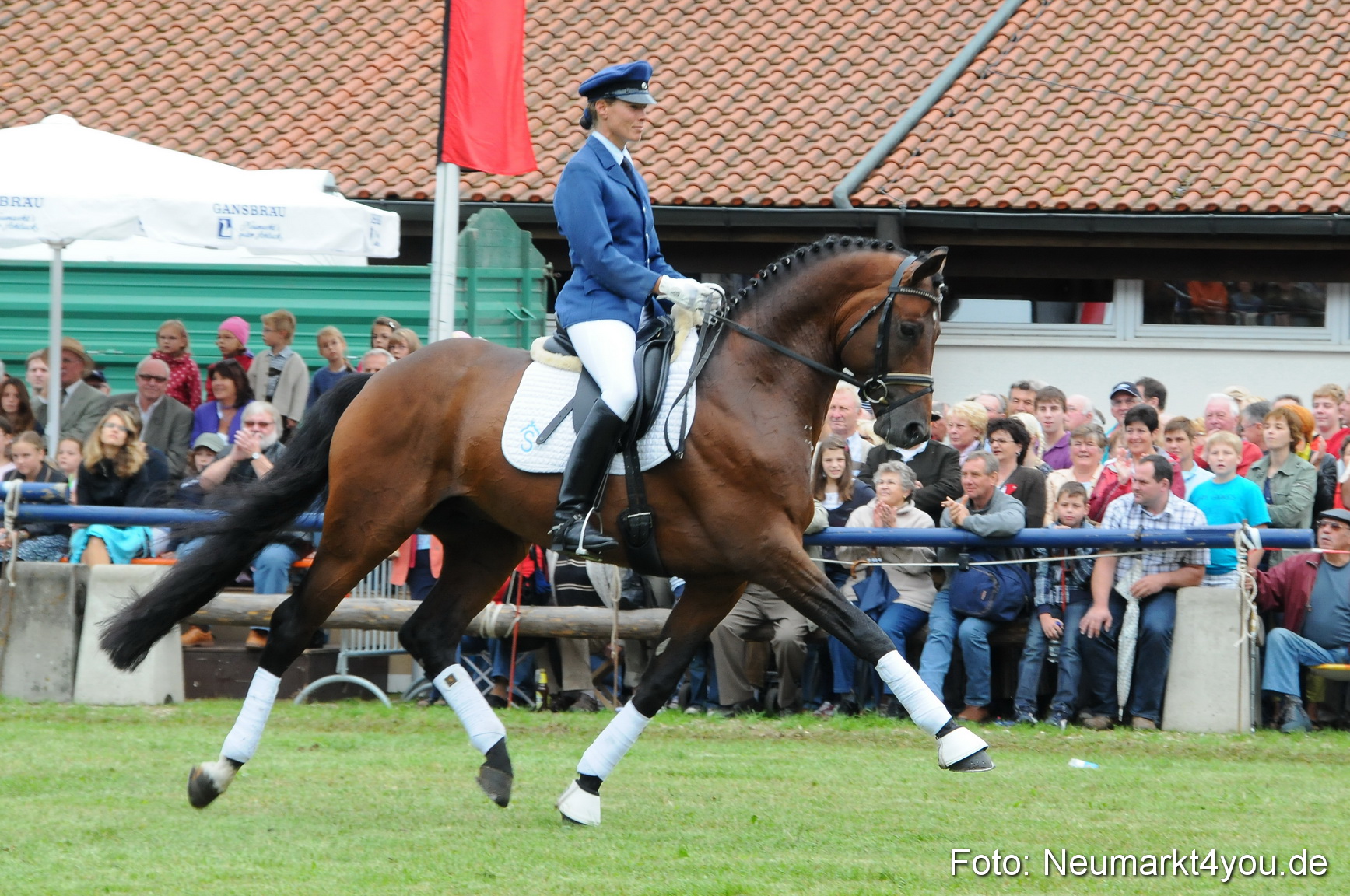 Pferdeschau Volksfest Neumarkt 160810 0099