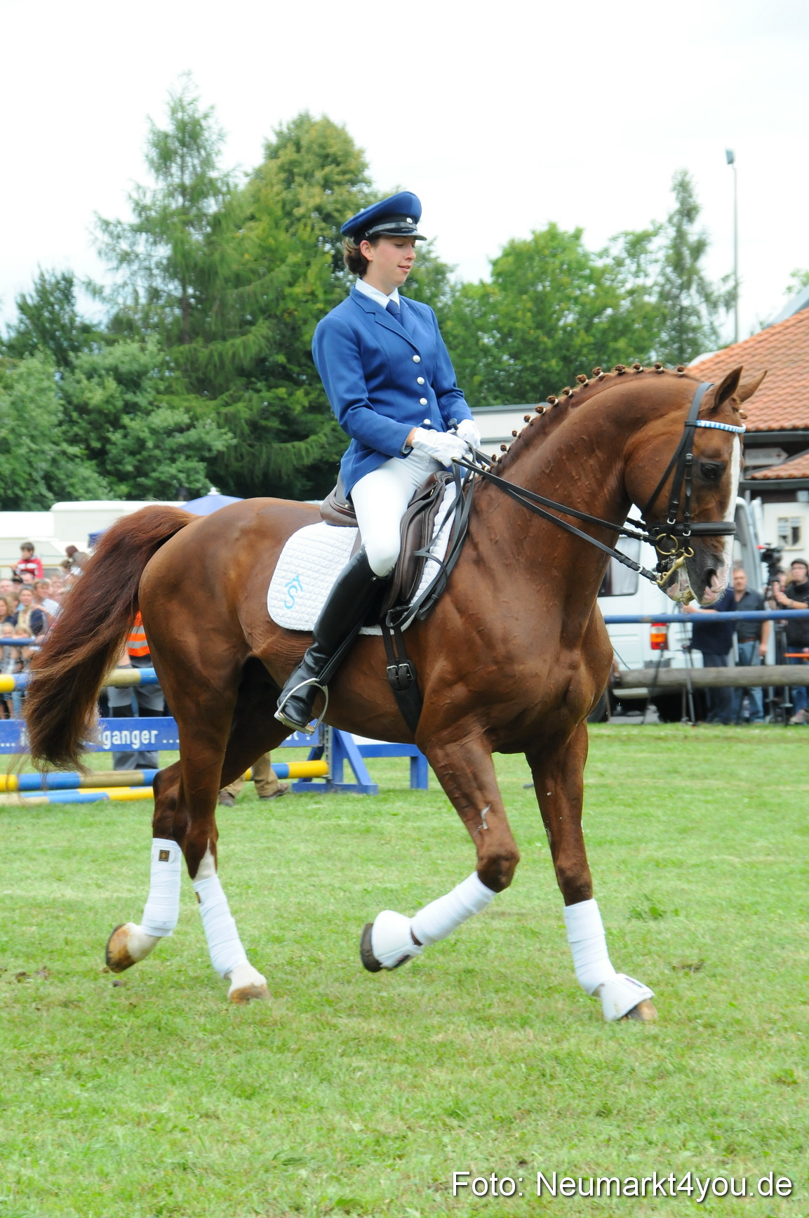 Pferdeschau Volksfest Neumarkt 160810 0101