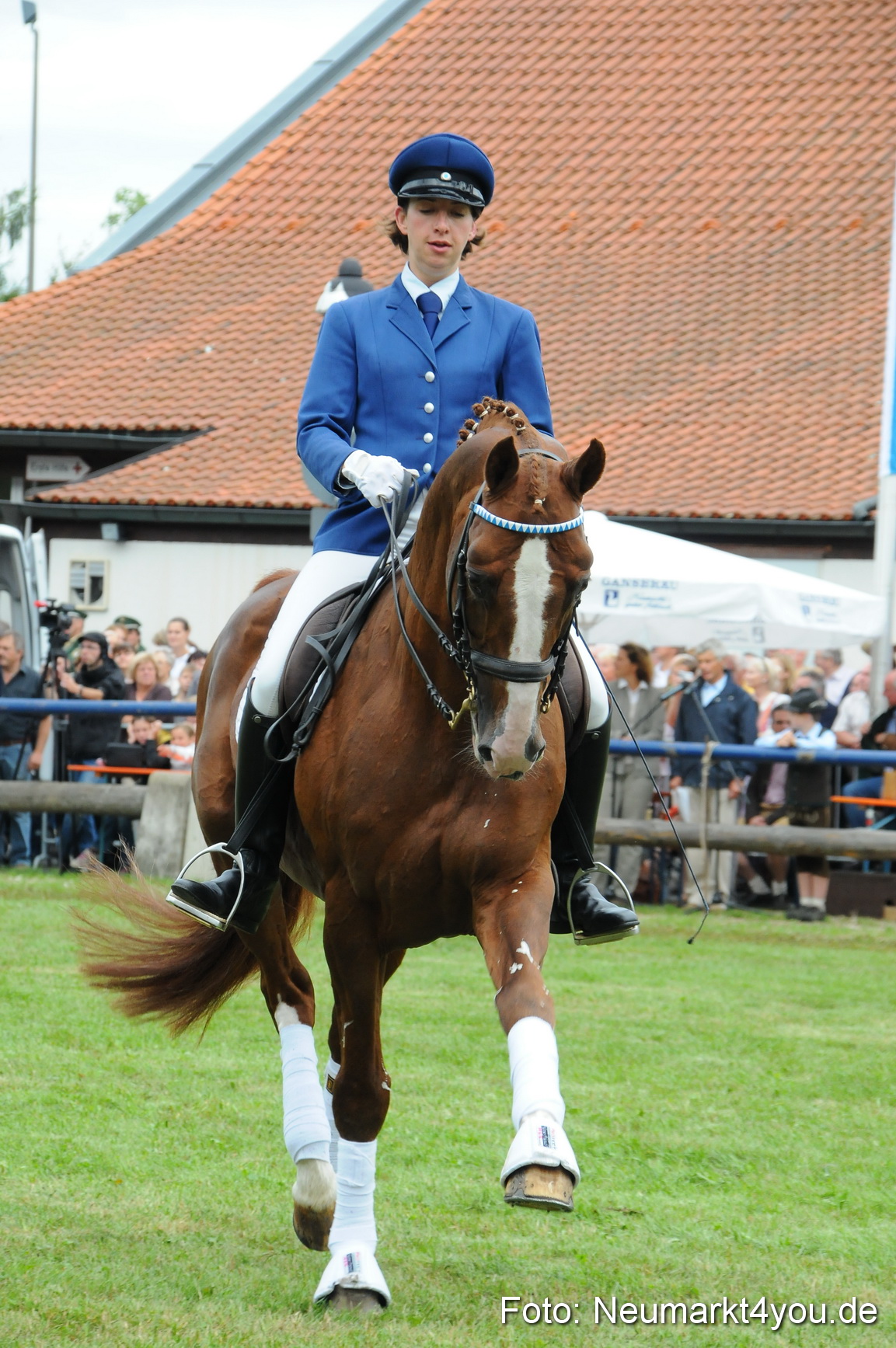 Pferdeschau Volksfest Neumarkt 160810 0102