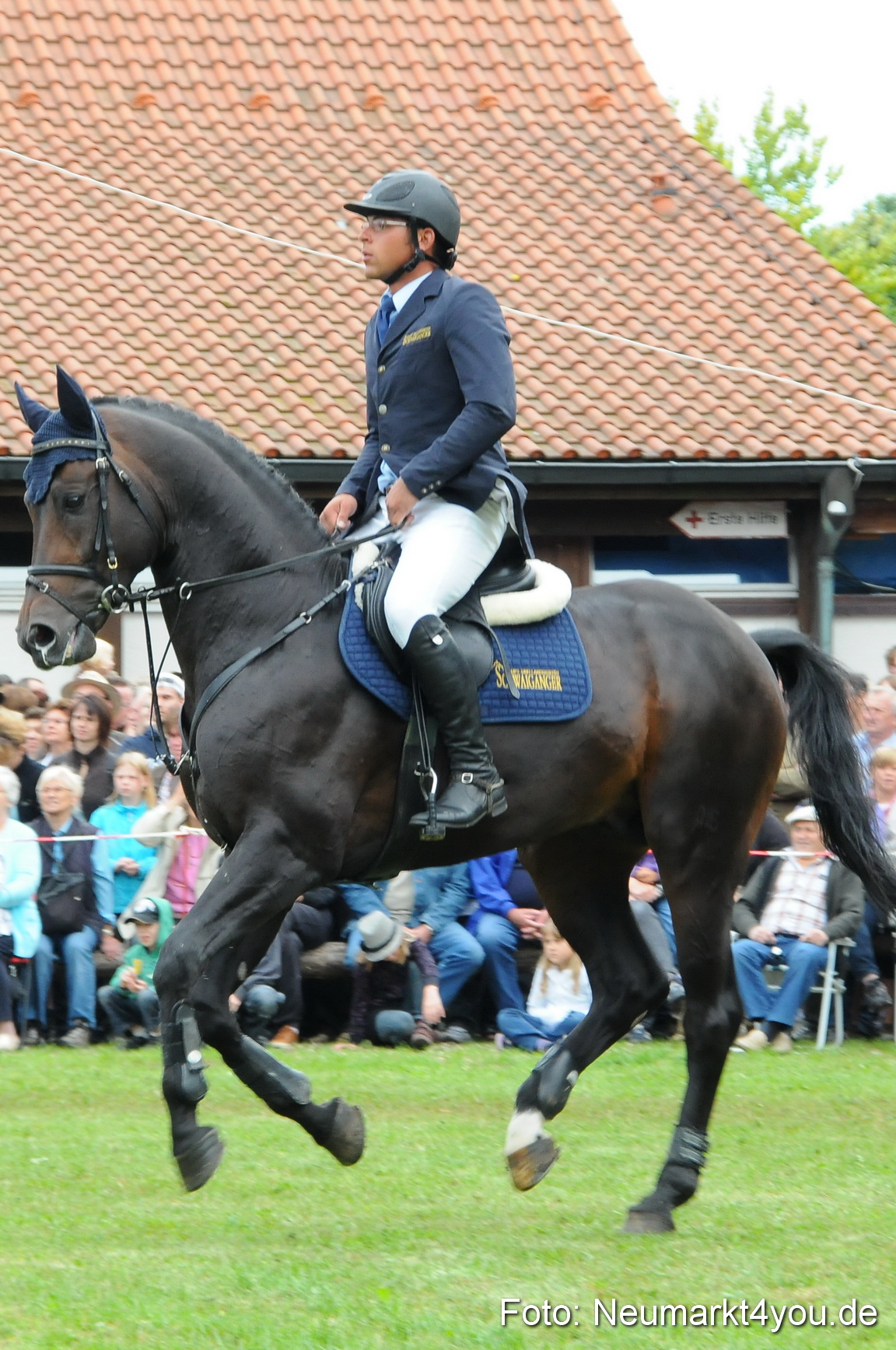 Pferdeschau Volksfest Neumarkt 160810 0103