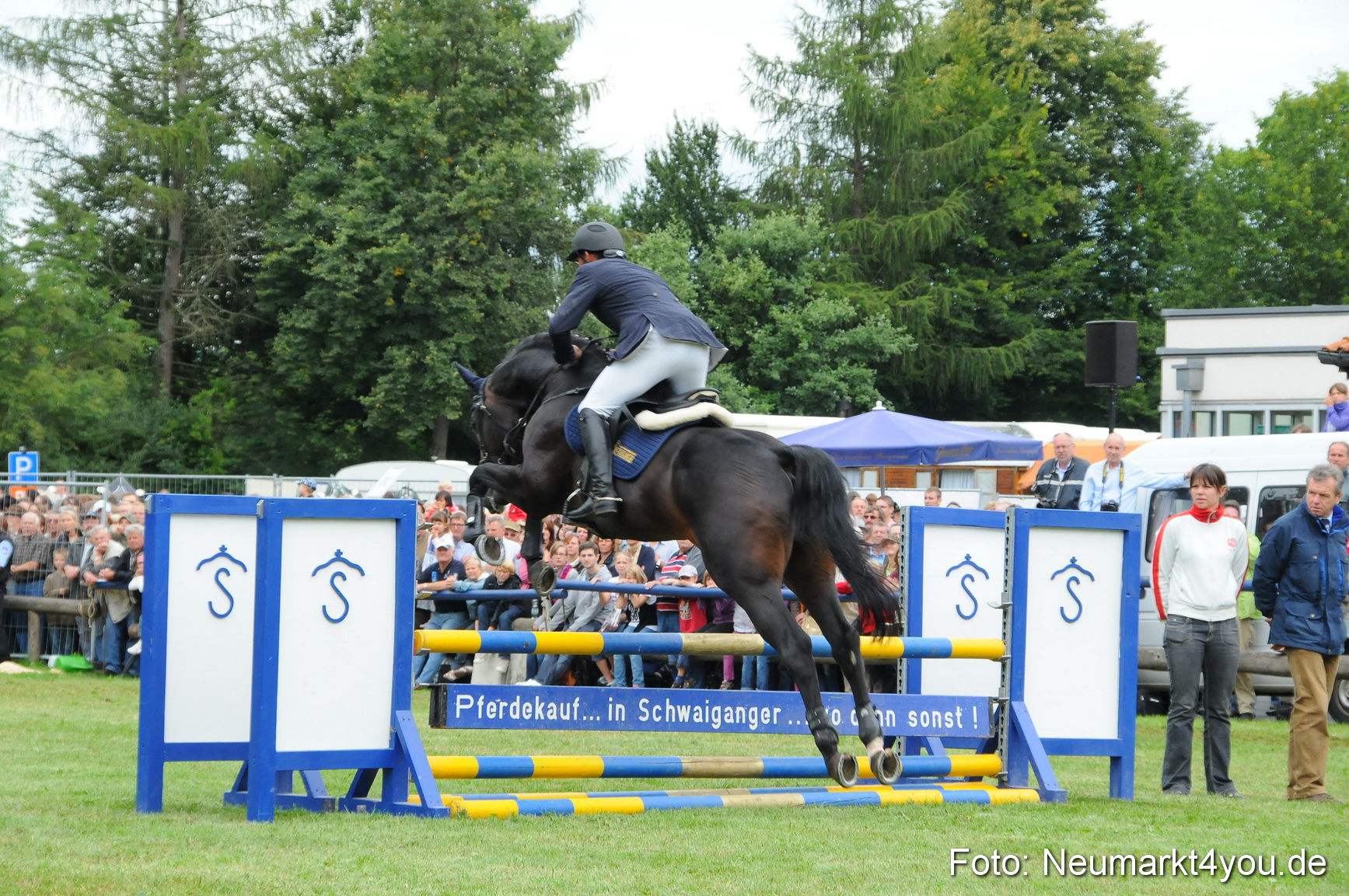 Pferdeschau Volksfest Neumarkt 160810 0104