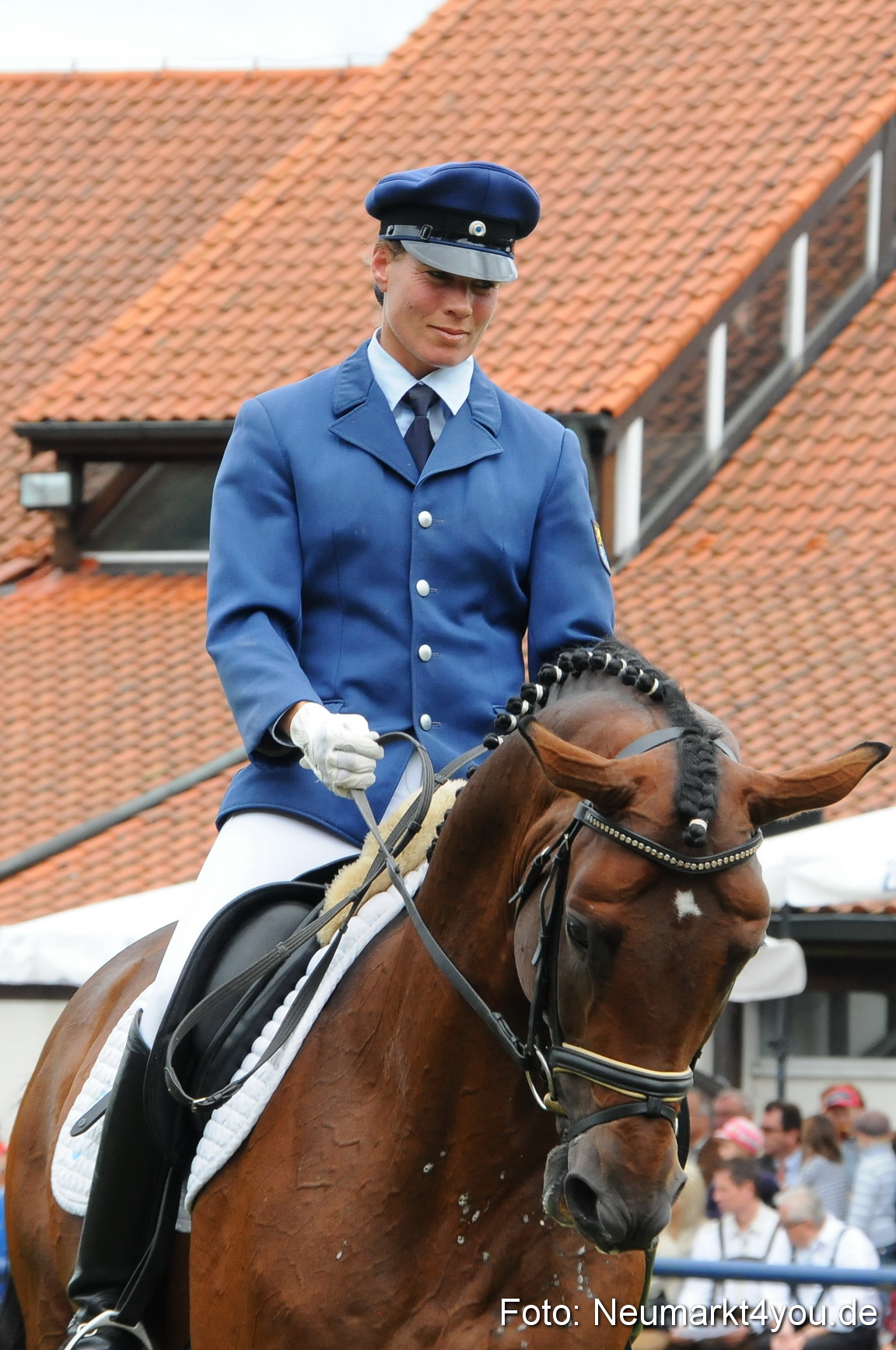 Pferdeschau Volksfest Neumarkt 160810 0105