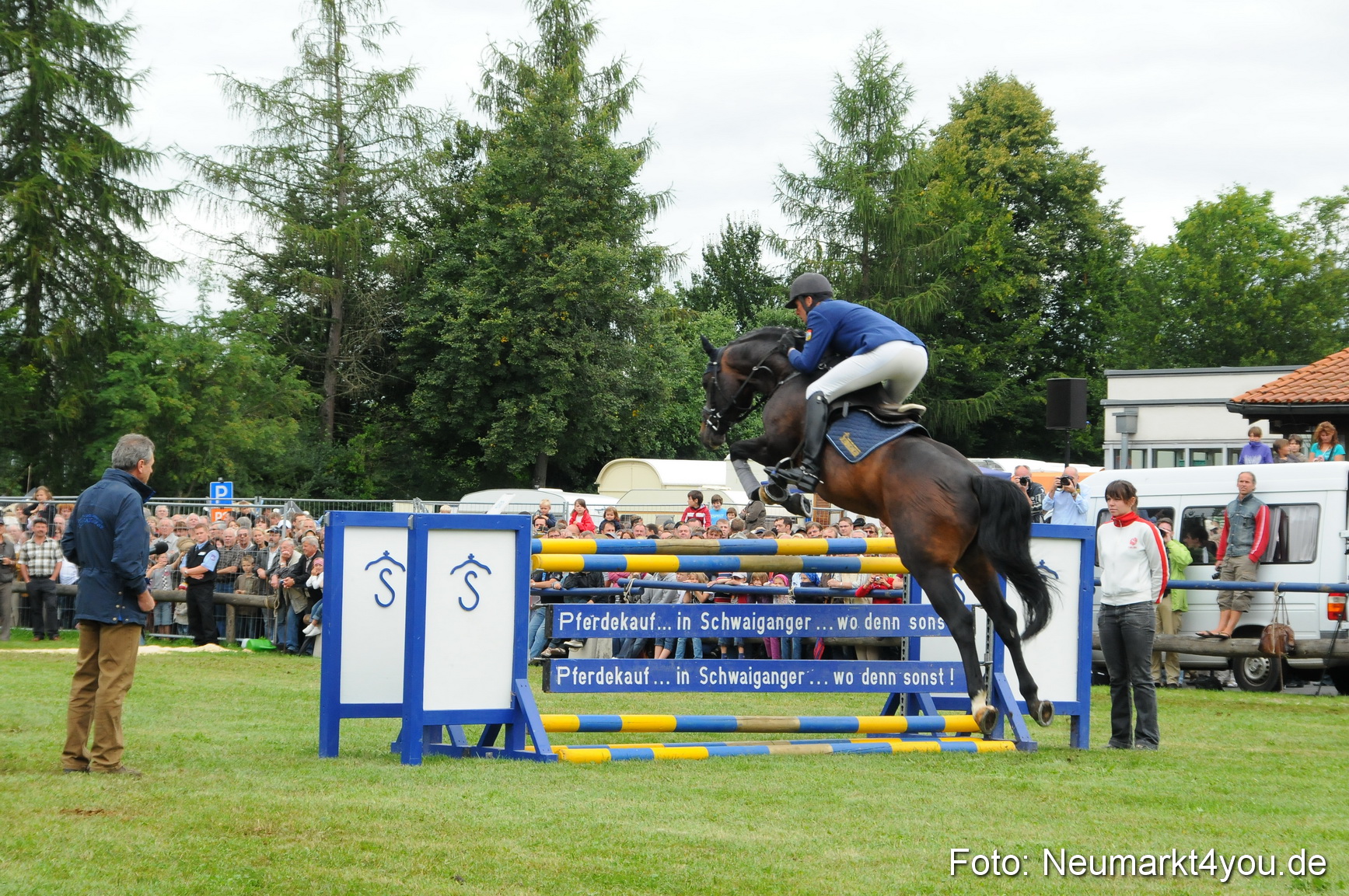 Pferdeschau Volksfest Neumarkt 160810 0107