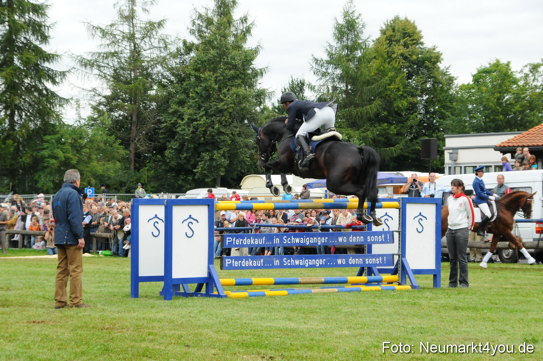 Pferdeschau Volksfest Neumarkt 160810 0108