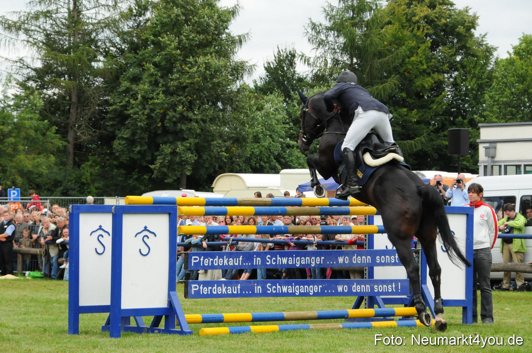 Pferdeschau Volksfest Neumarkt 160810 0109
