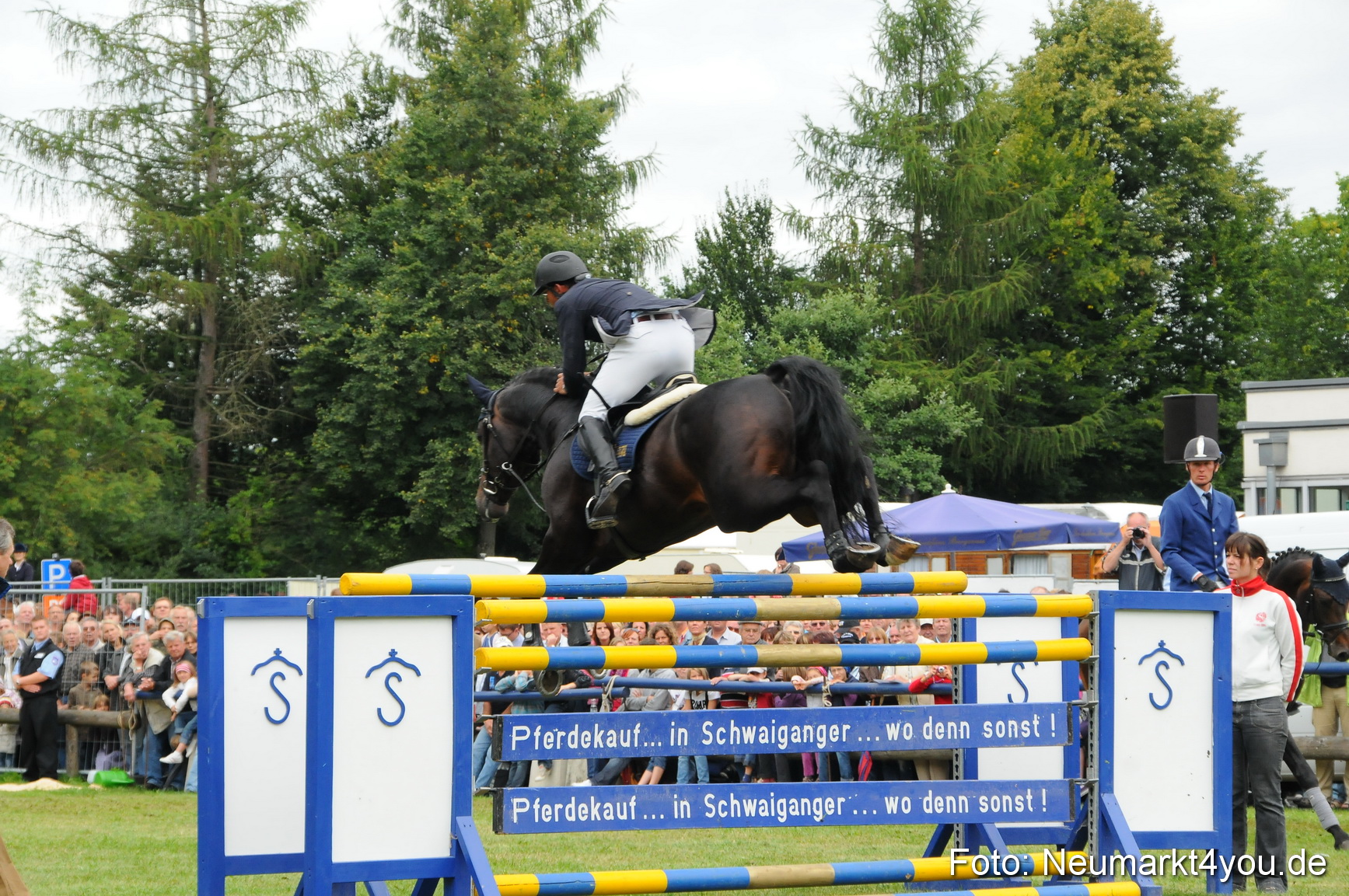 Pferdeschau Volksfest Neumarkt 160810 0110