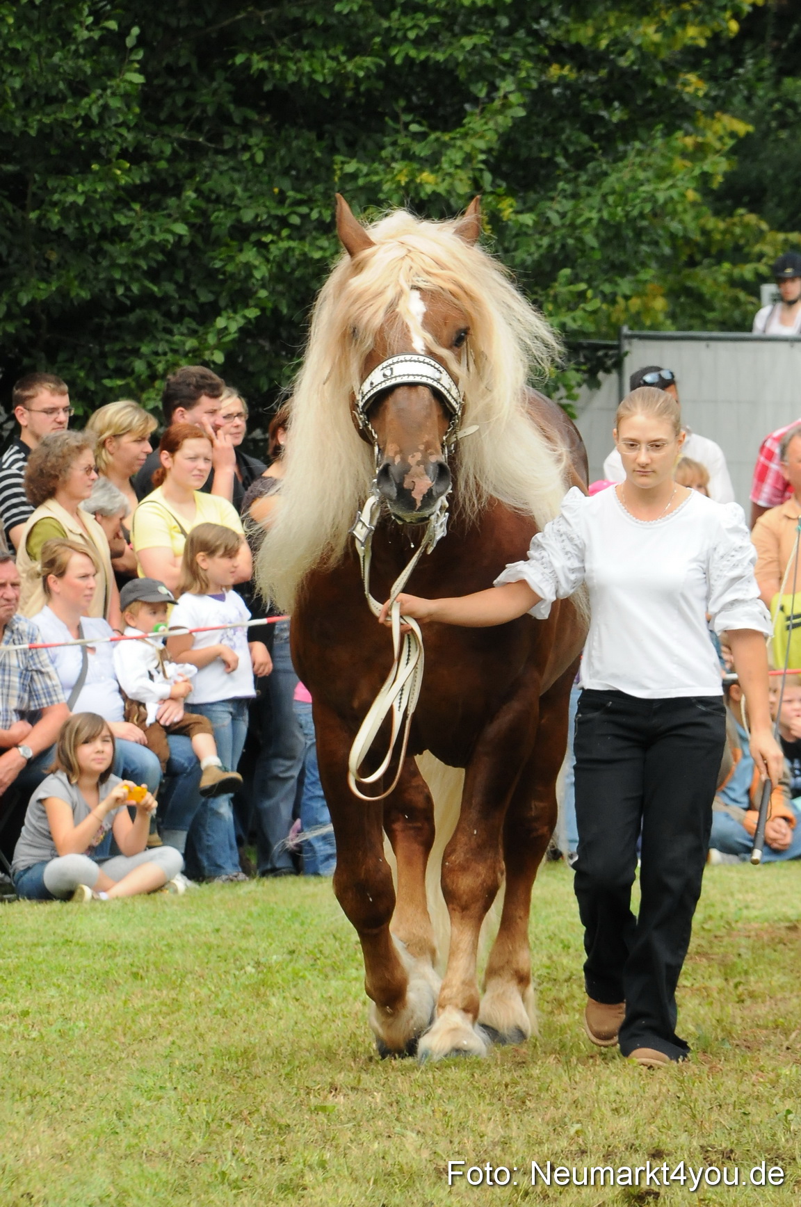 Pferdeschau Volksfest Neumarkt 160810 0111