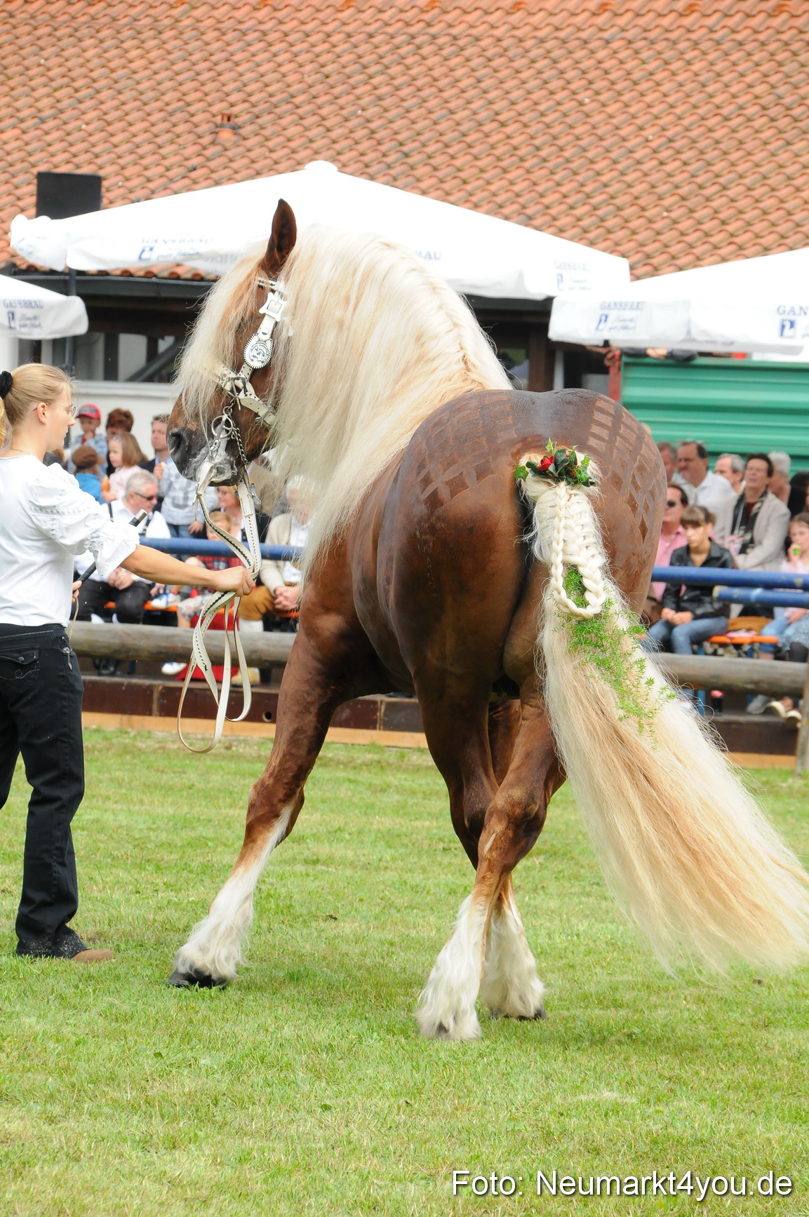 Pferdeschau Volksfest Neumarkt 160810 0112
