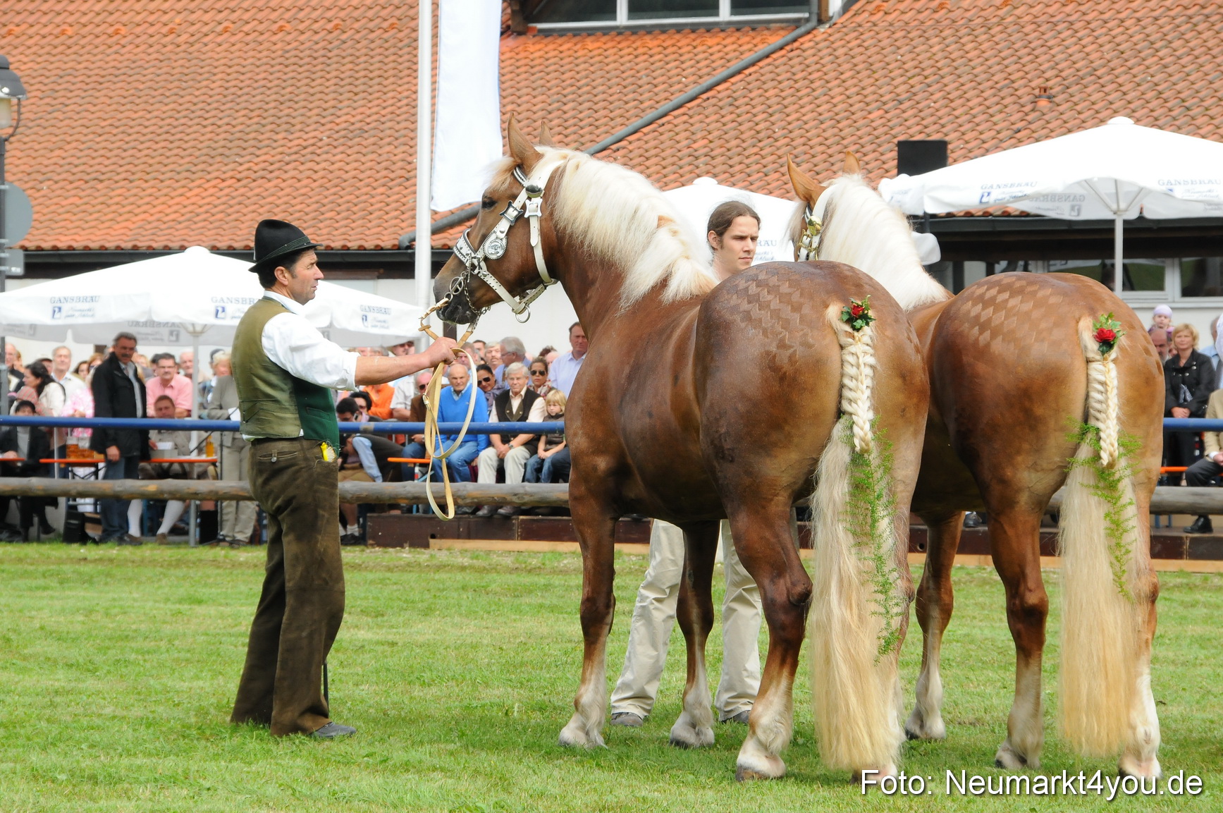 Pferdeschau Volksfest Neumarkt 160810 0113