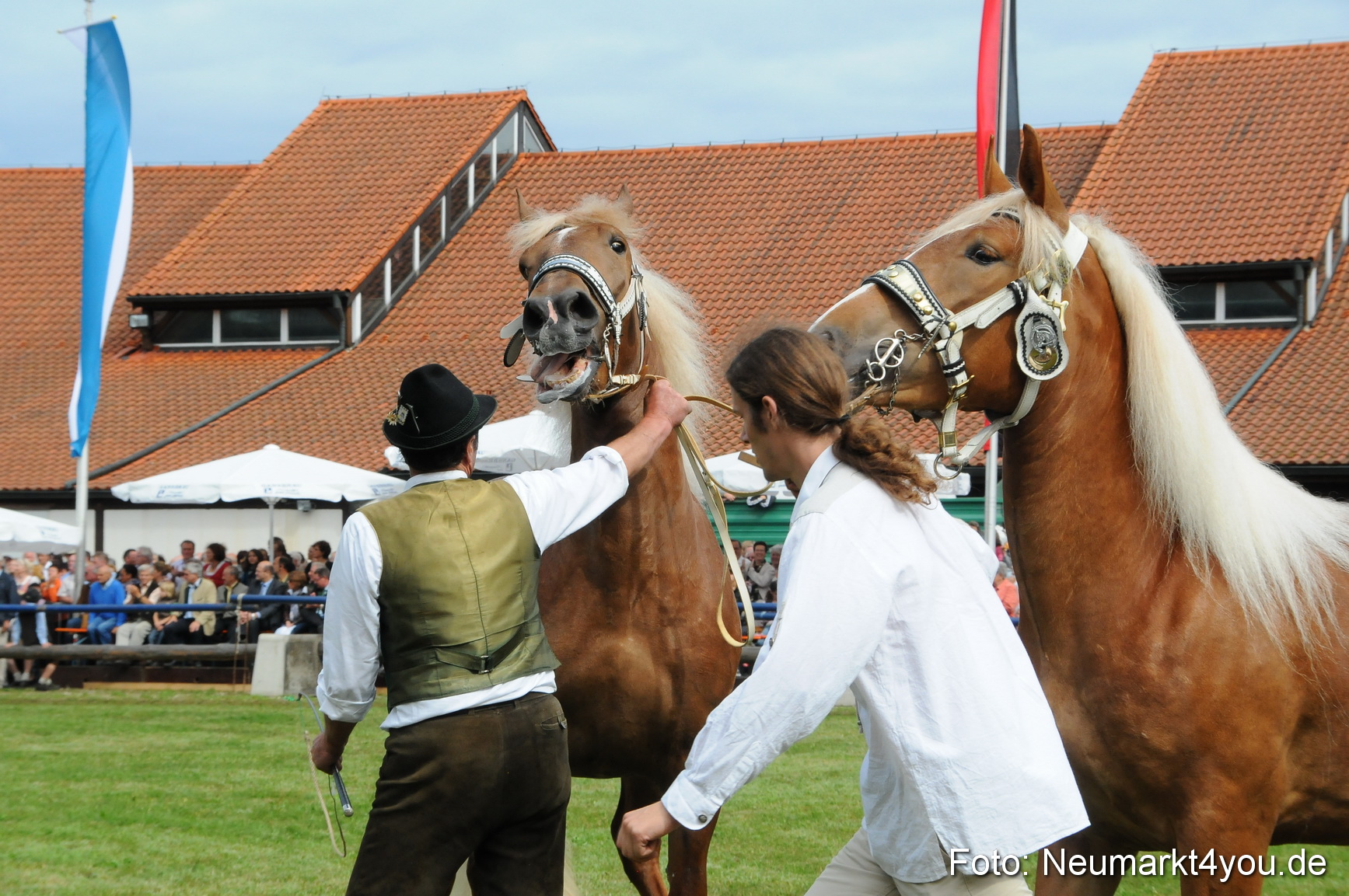Pferdeschau Volksfest Neumarkt 160810 0116