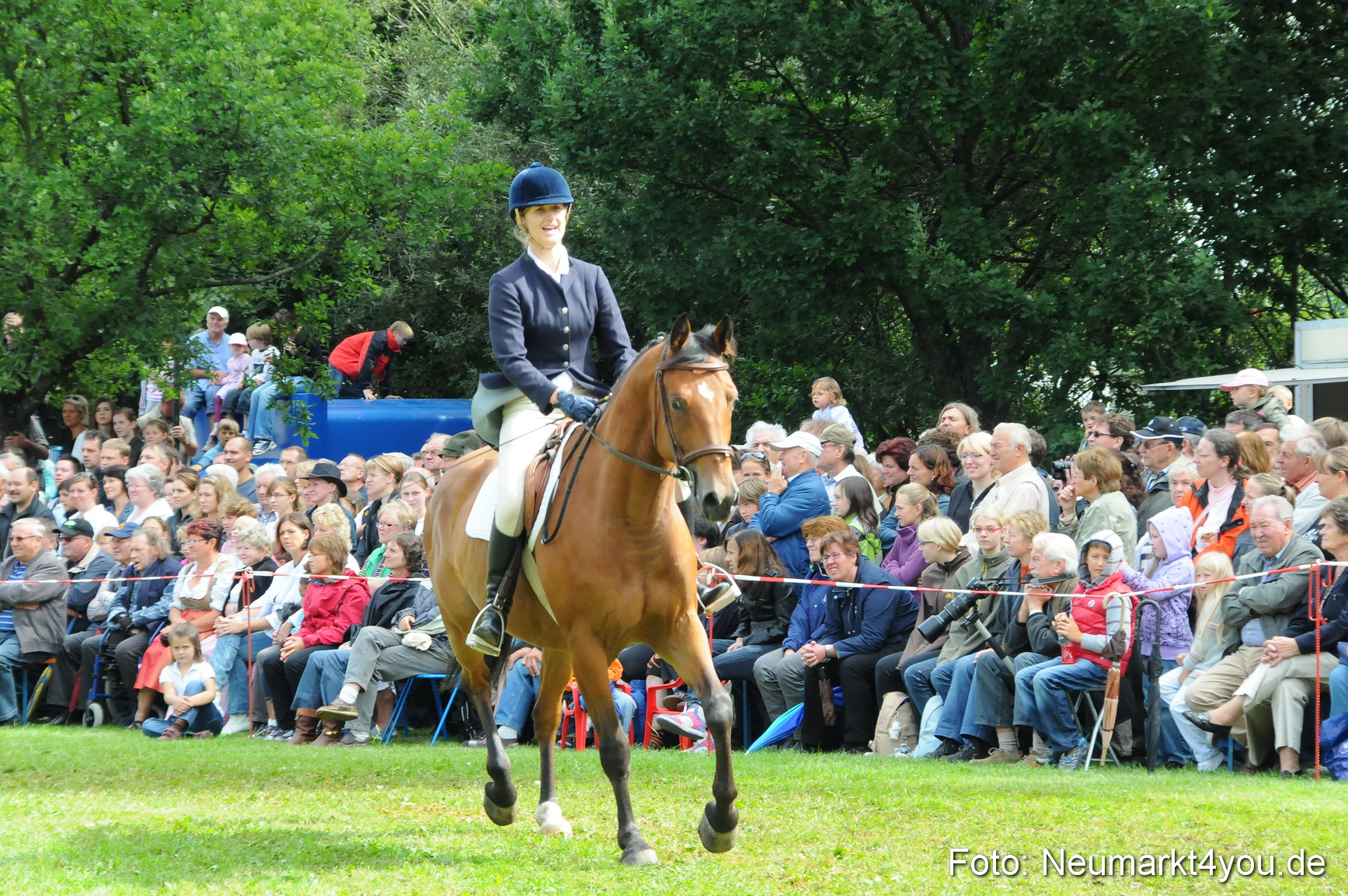 Pferdeschau Volksfest Neumarkt 160810 0117