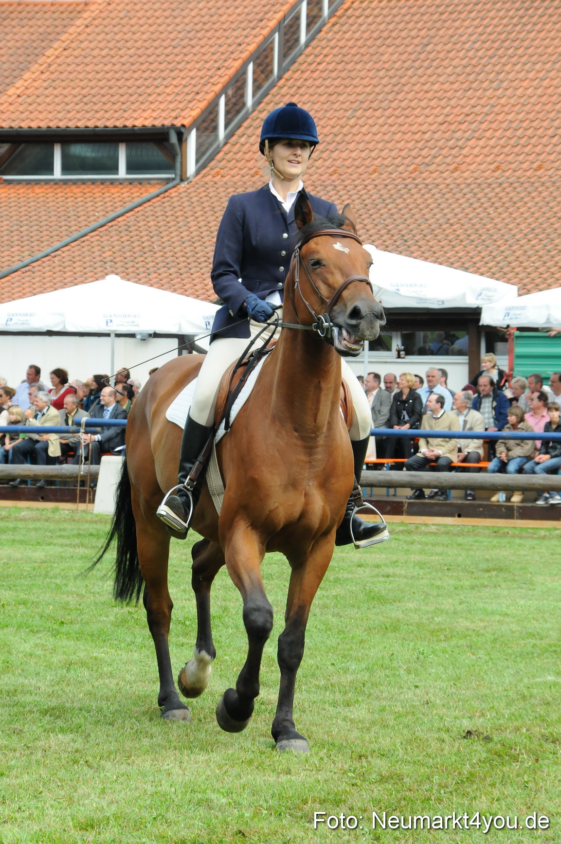Pferdeschau Volksfest Neumarkt 160810 0119