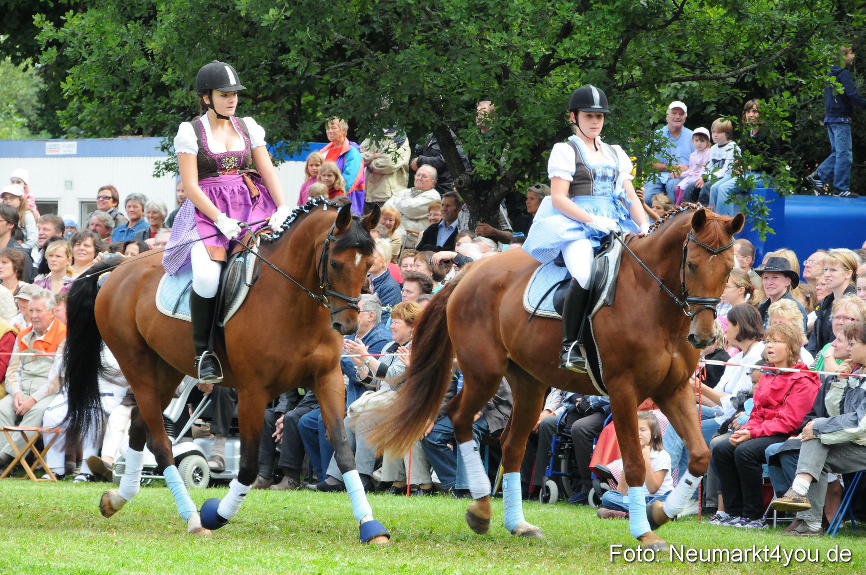 Pferdeschau Volksfest Neumarkt 160810 0120