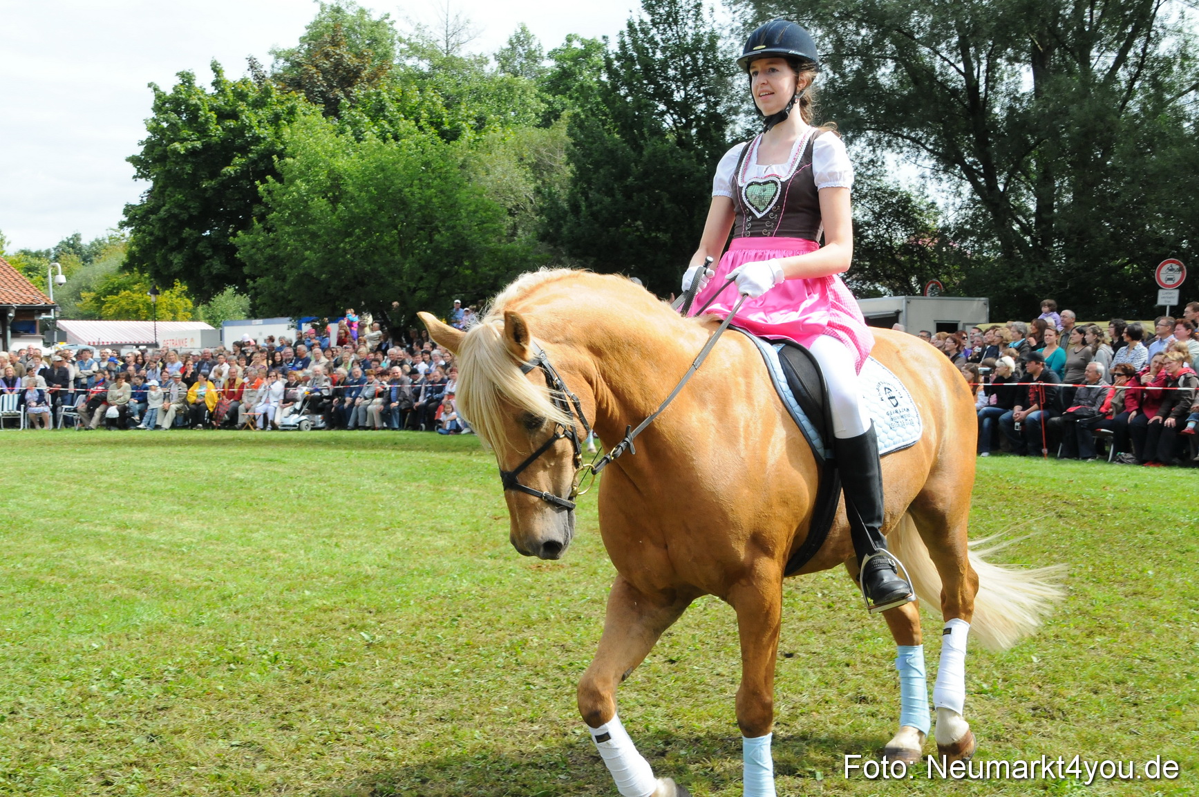 Pferdeschau Volksfest Neumarkt 160810 0121