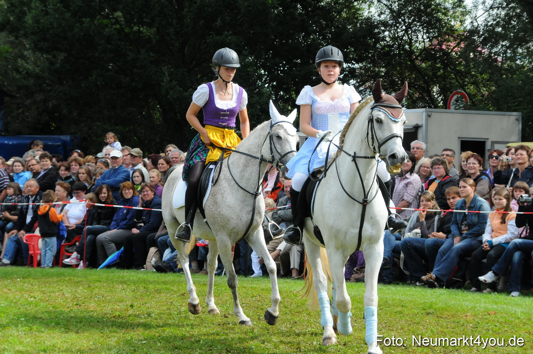 Pferdeschau Volksfest Neumarkt 160810 0122