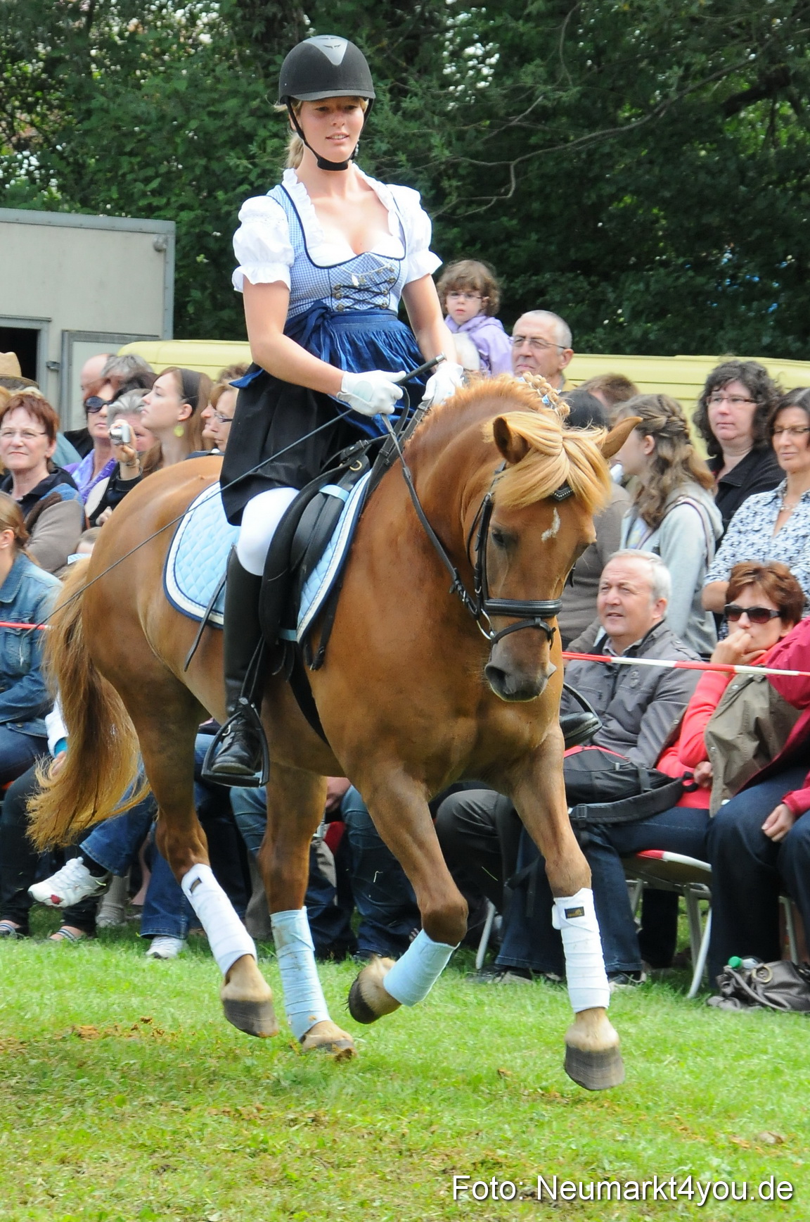 Pferdeschau Volksfest Neumarkt 160810 0123