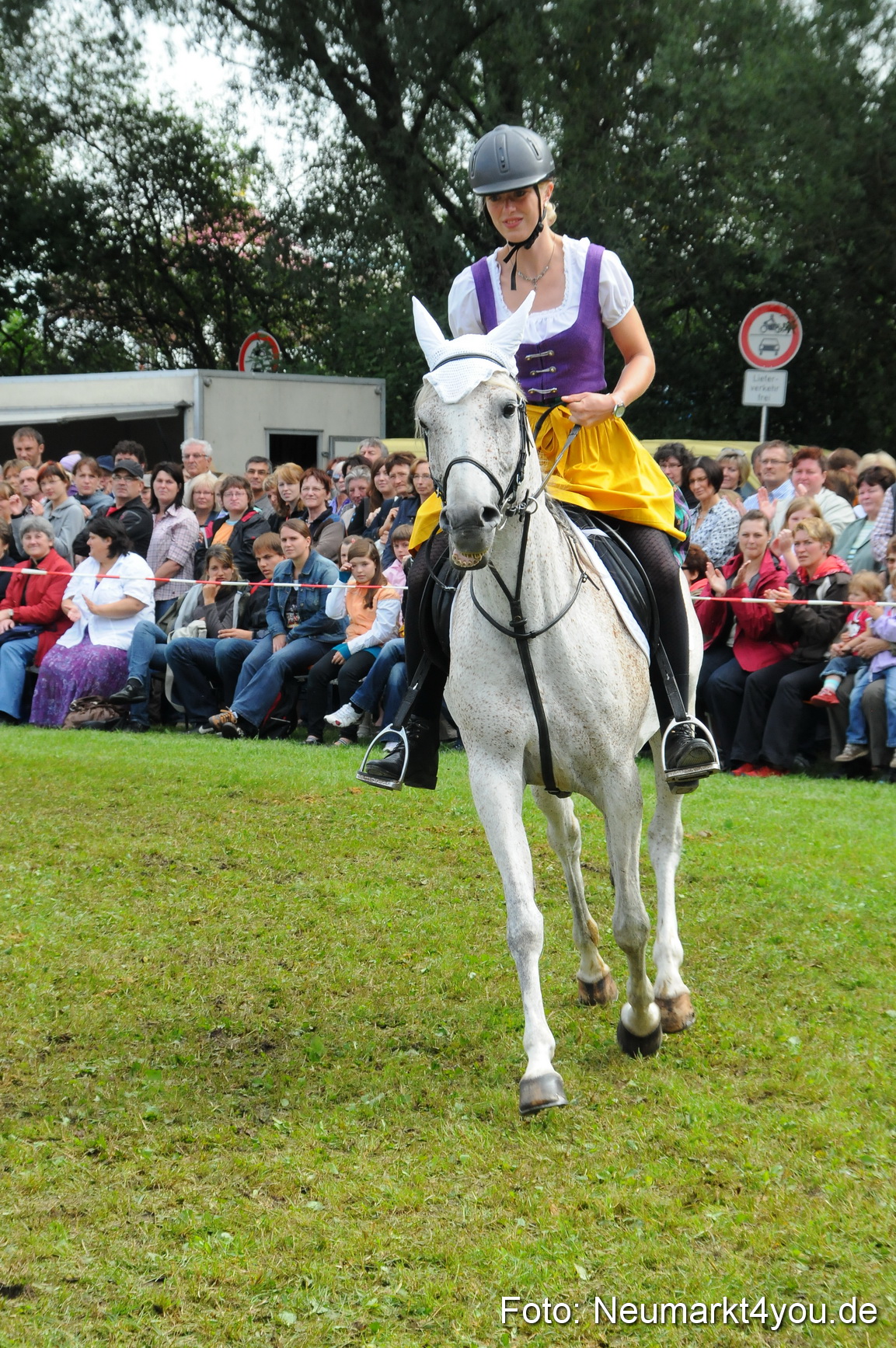 Pferdeschau Volksfest Neumarkt 160810 0124